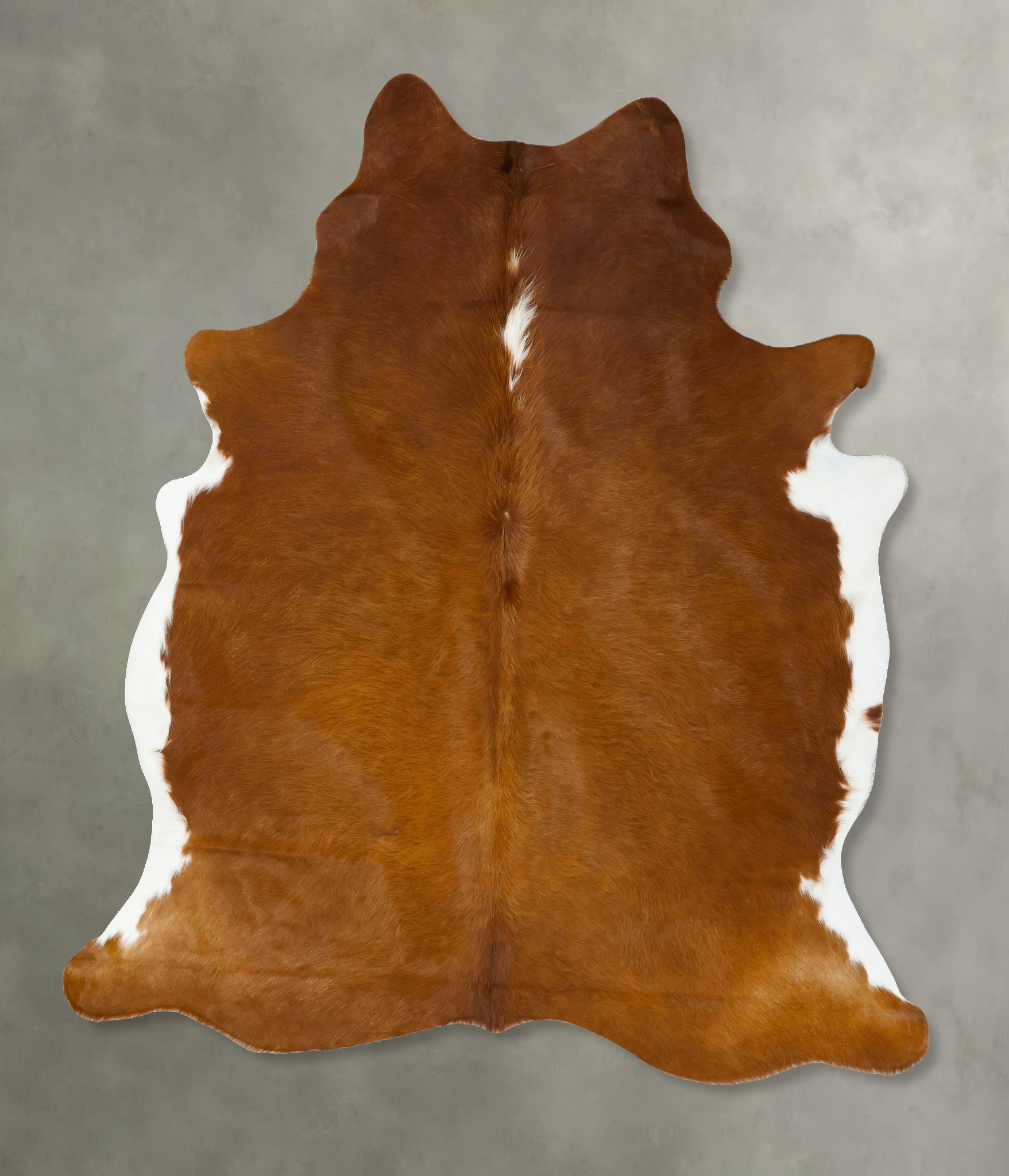 Brown and White Regular Cowhide Rug #B24248