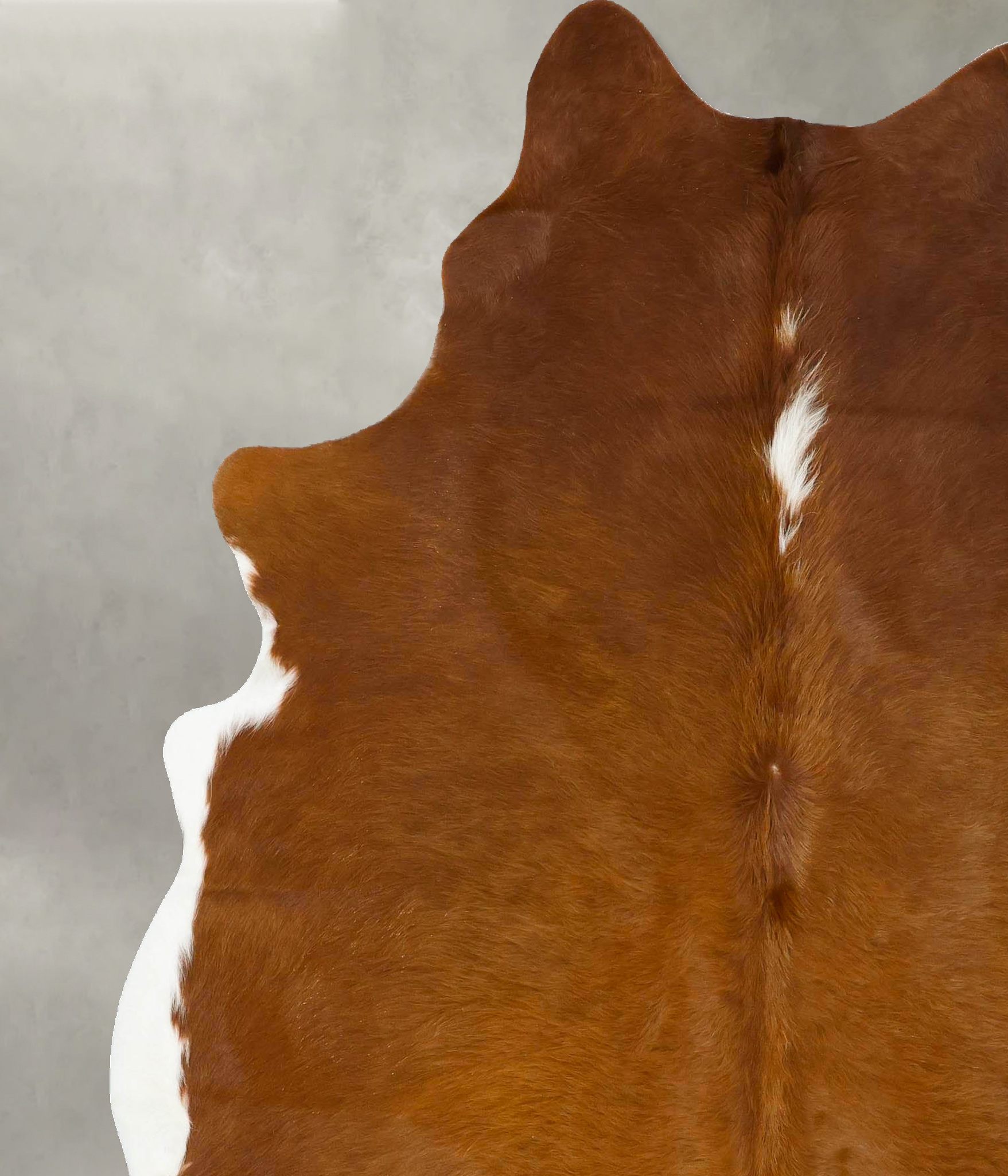 Brown and White Regular Cowhide Rug #B24248