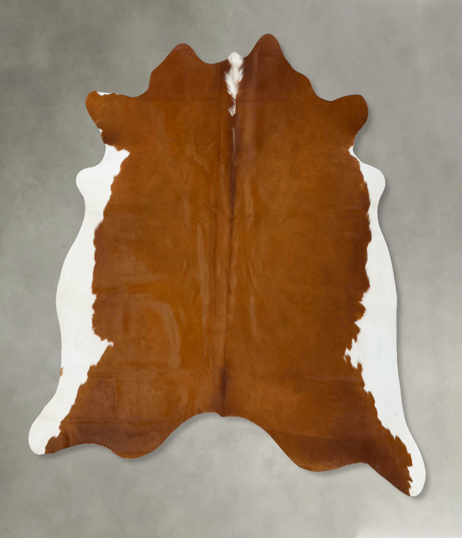Brown and White Regular Cowhide Rug #B24249