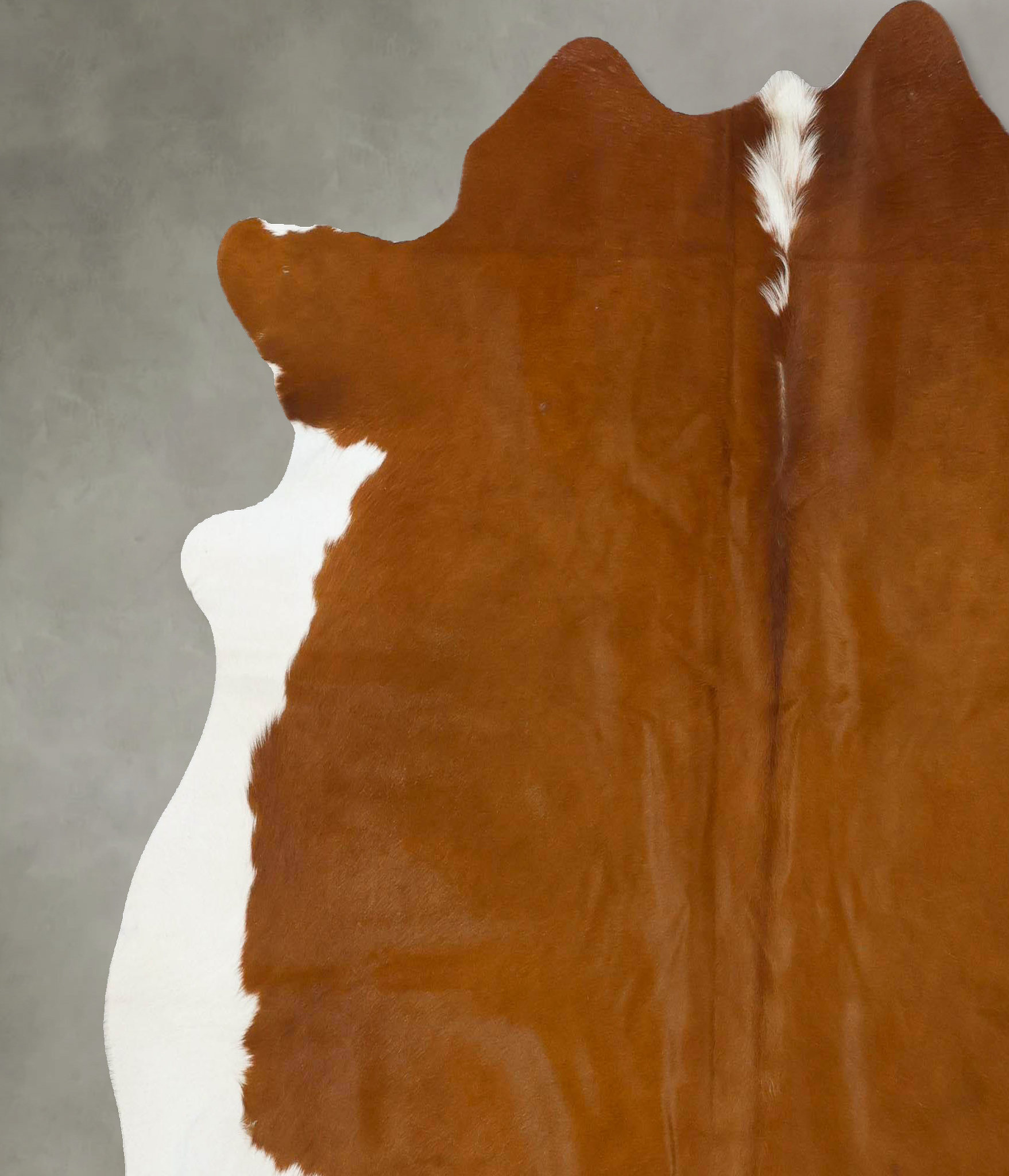 Brown and White Regular Cowhide Rug #B24249