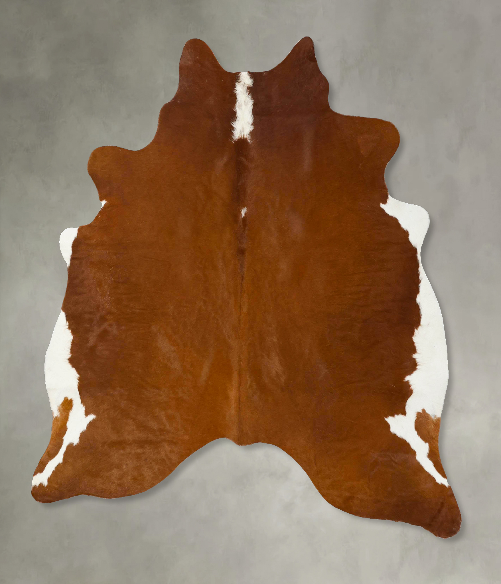 Brown and White Regular Cowhide Rug #B24251