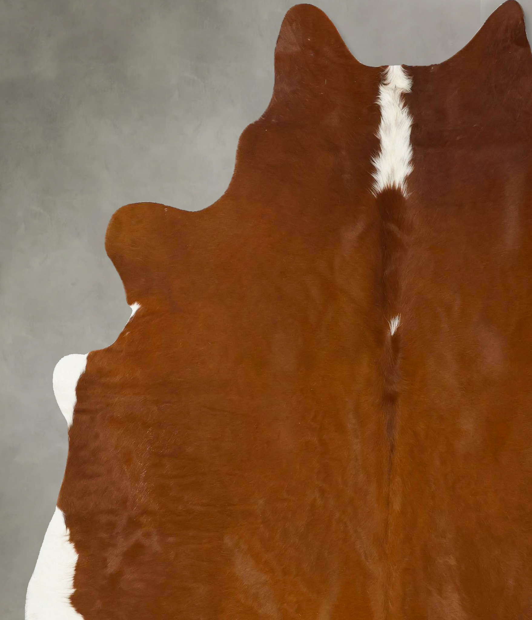 Brown and White Regular Cowhide Rug #B24251
