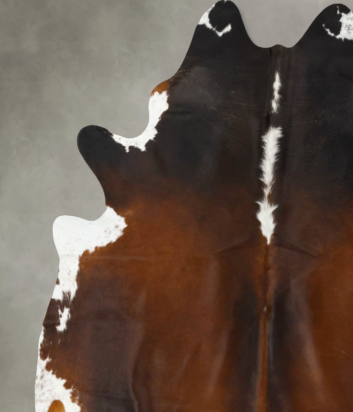 Chocolate and White XX-Large Brazilian Cowhide Rug 8'3"H x 7'1"W #B24266 by Hudson Hides