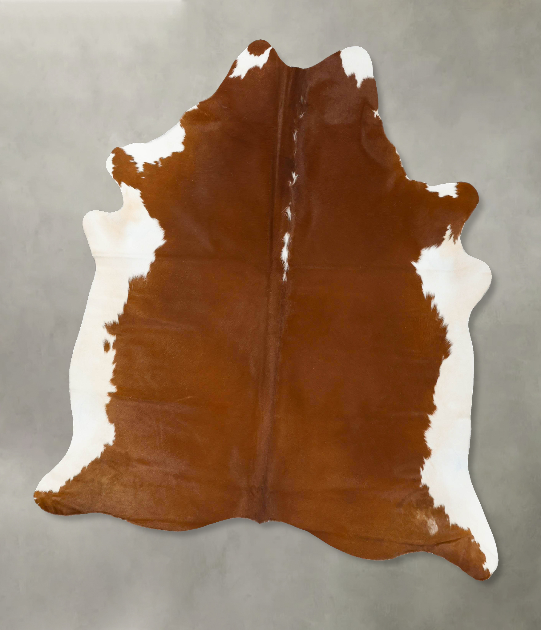 Brown and White Regular Cowhide Rug #B24269