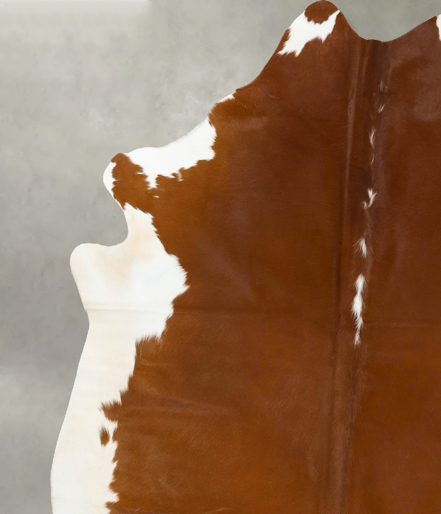 Brown and White Regular Cowhide Rug #B24269