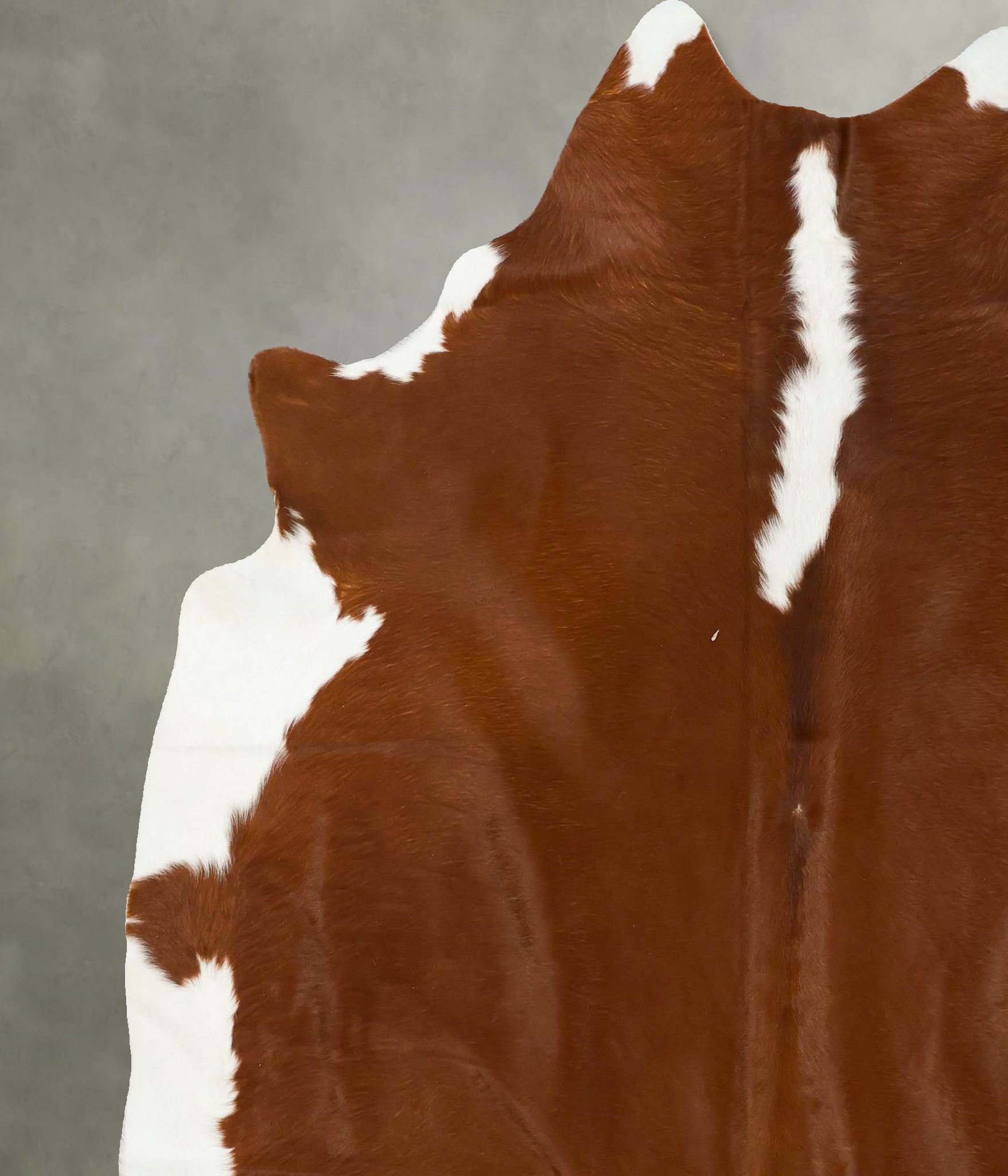 Hereford Cowhide Rug #B24271