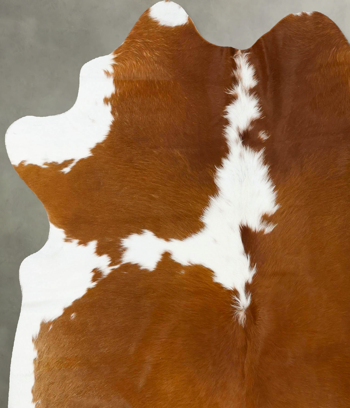 Brown and White X-Large Brazilian Cowhide Rug 6'11"H x 5'11"W #B24272 by Hudson Hides