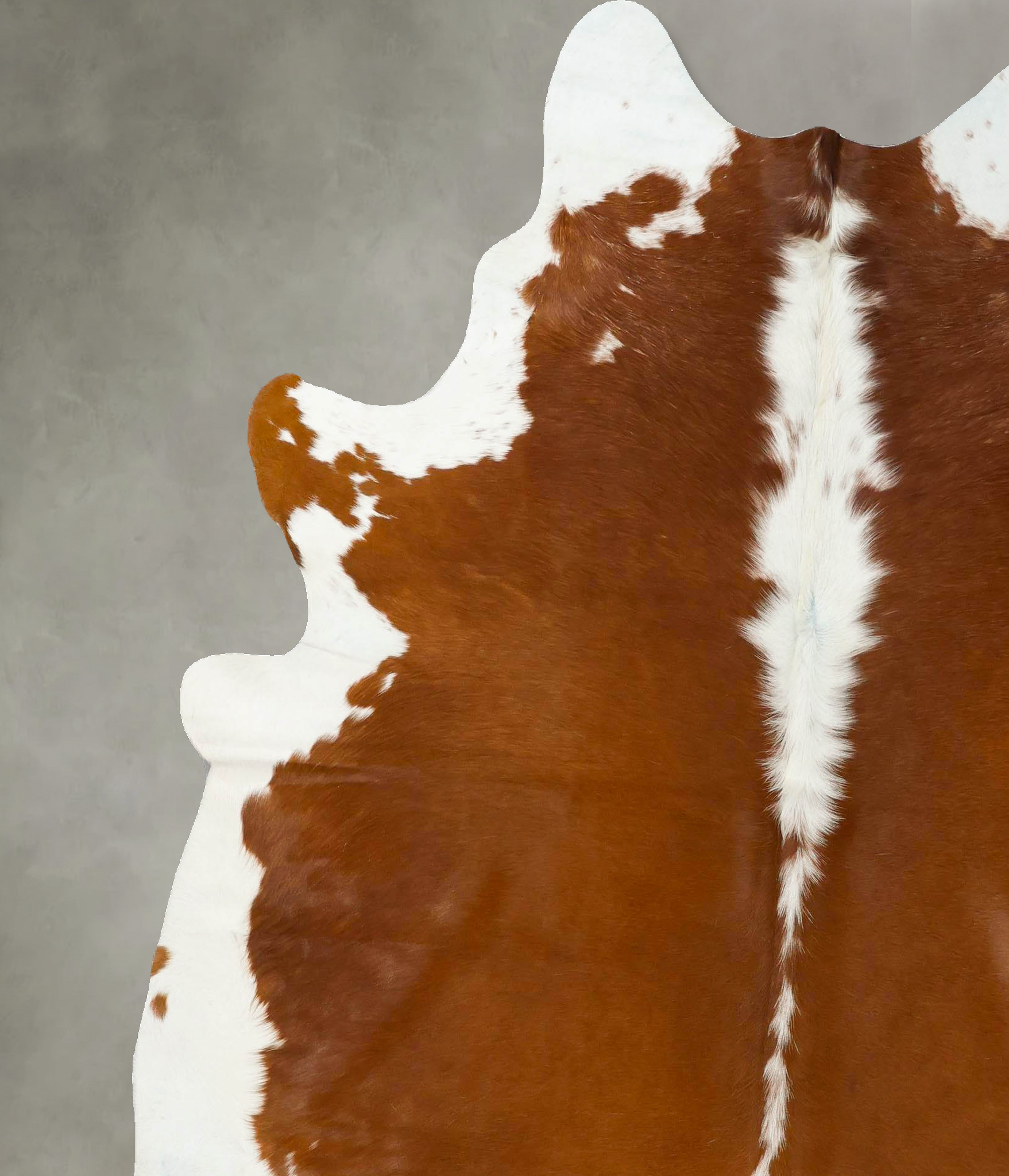 Hereford Cowhide Rug #B24273