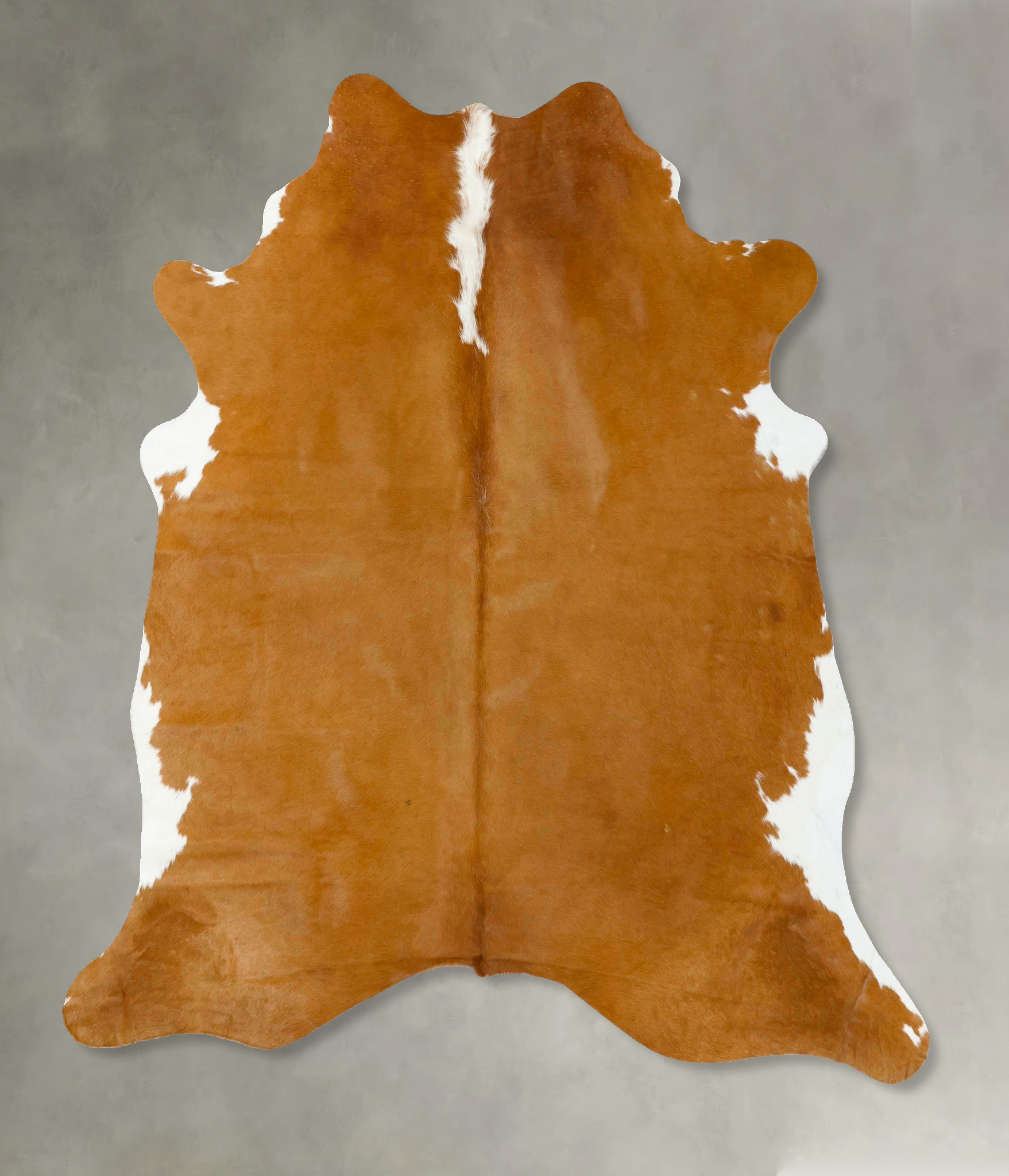 Brown and White Regular Cowhide Rug #B24274