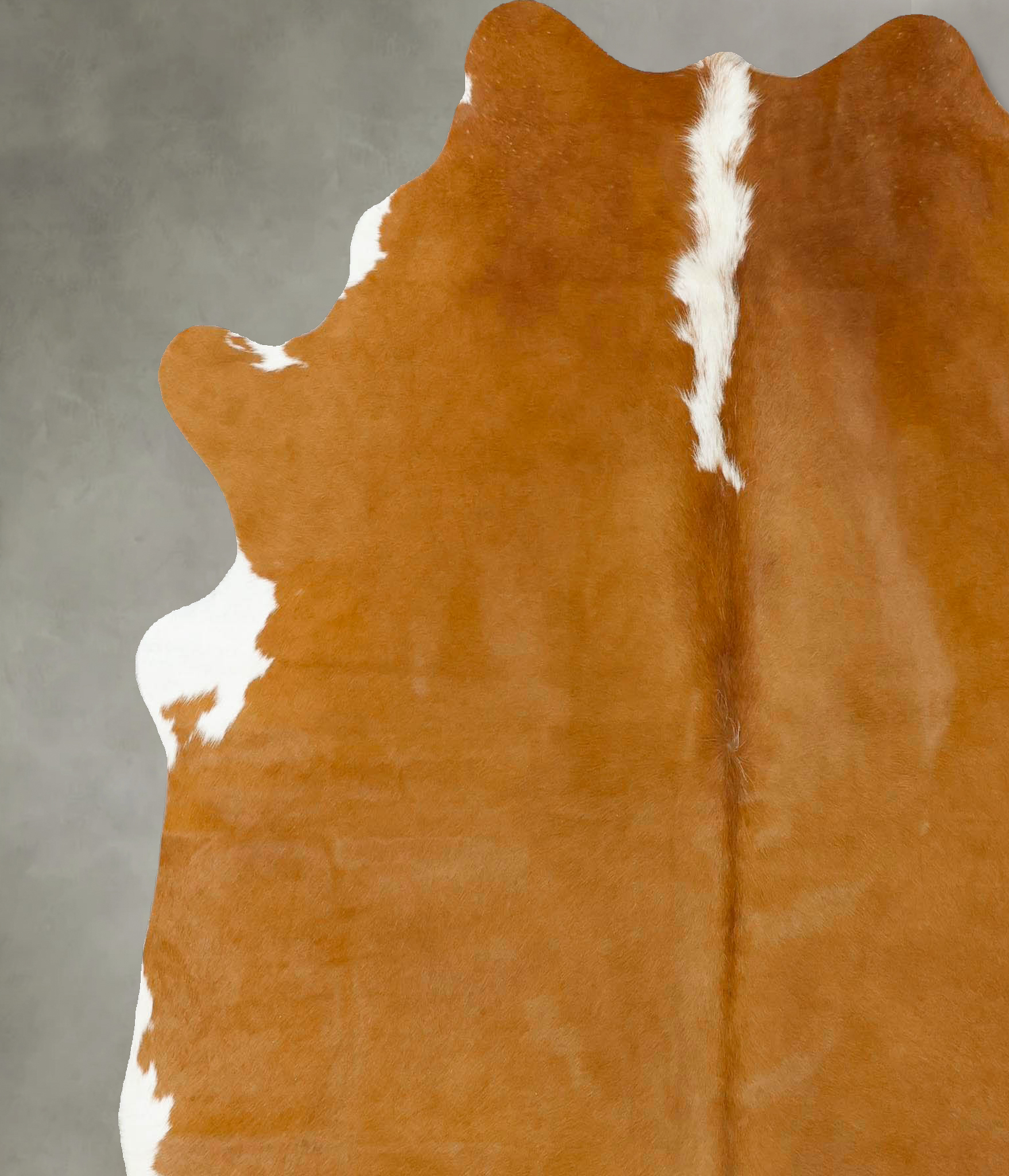 Brown and White Regular Cowhide Rug #B24274