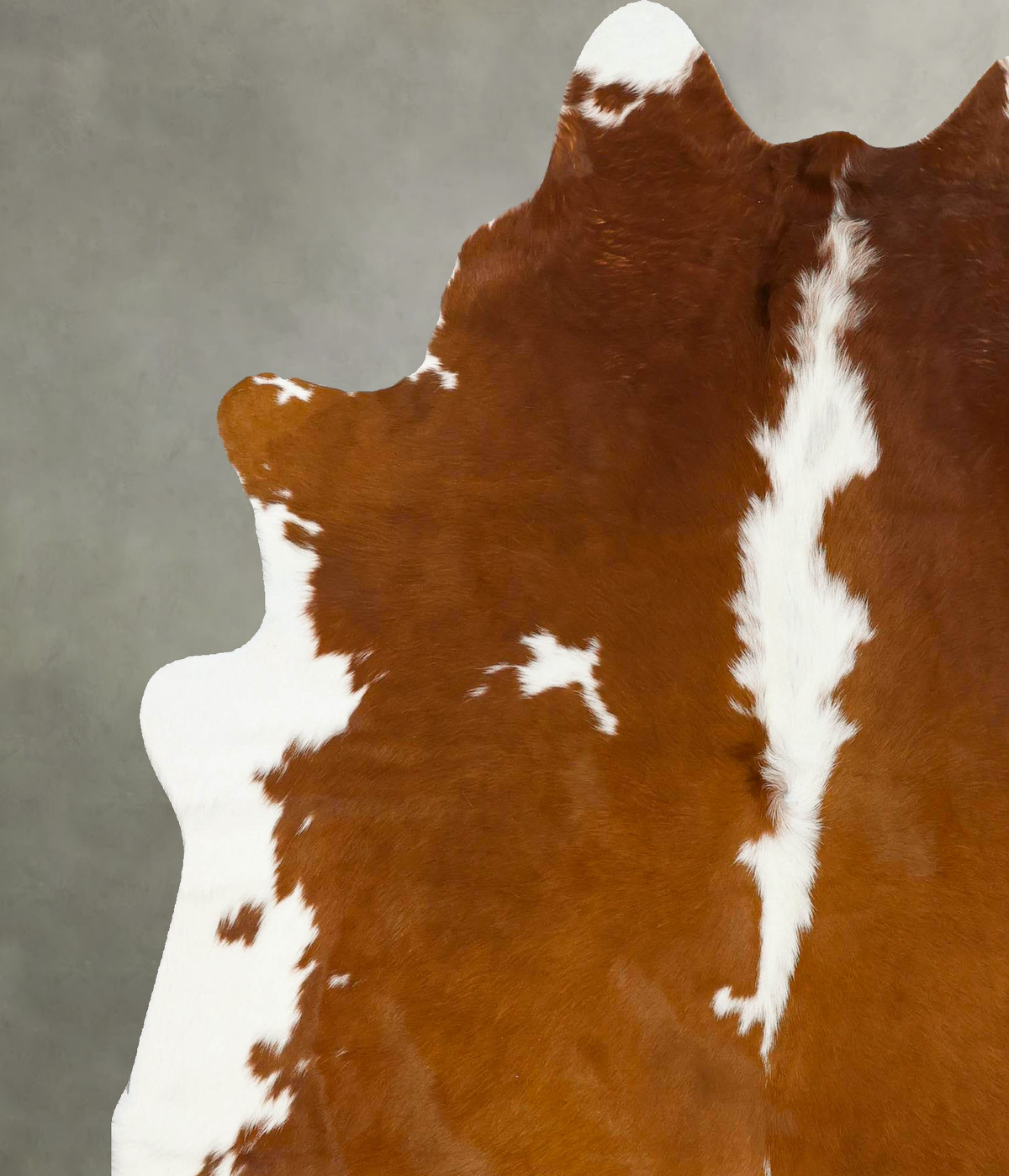 Brown and White X-Large Brazilian Cowhide Rug 7'3"H x 6'5"W #B24275 by Hudson Hides