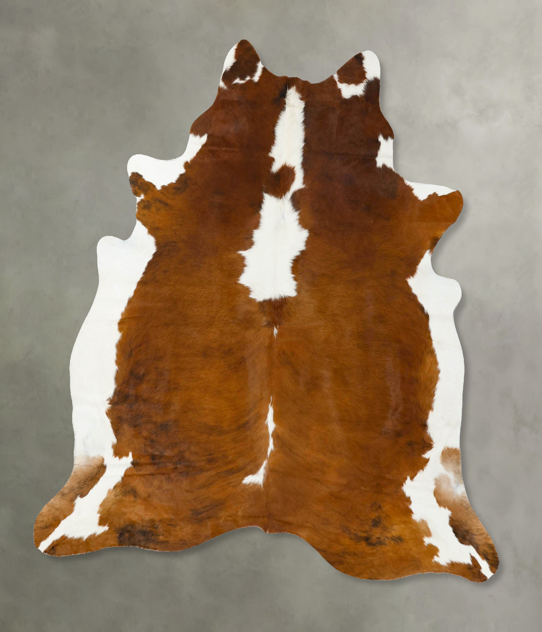 Tricolor Cowhide Rug #B24276
