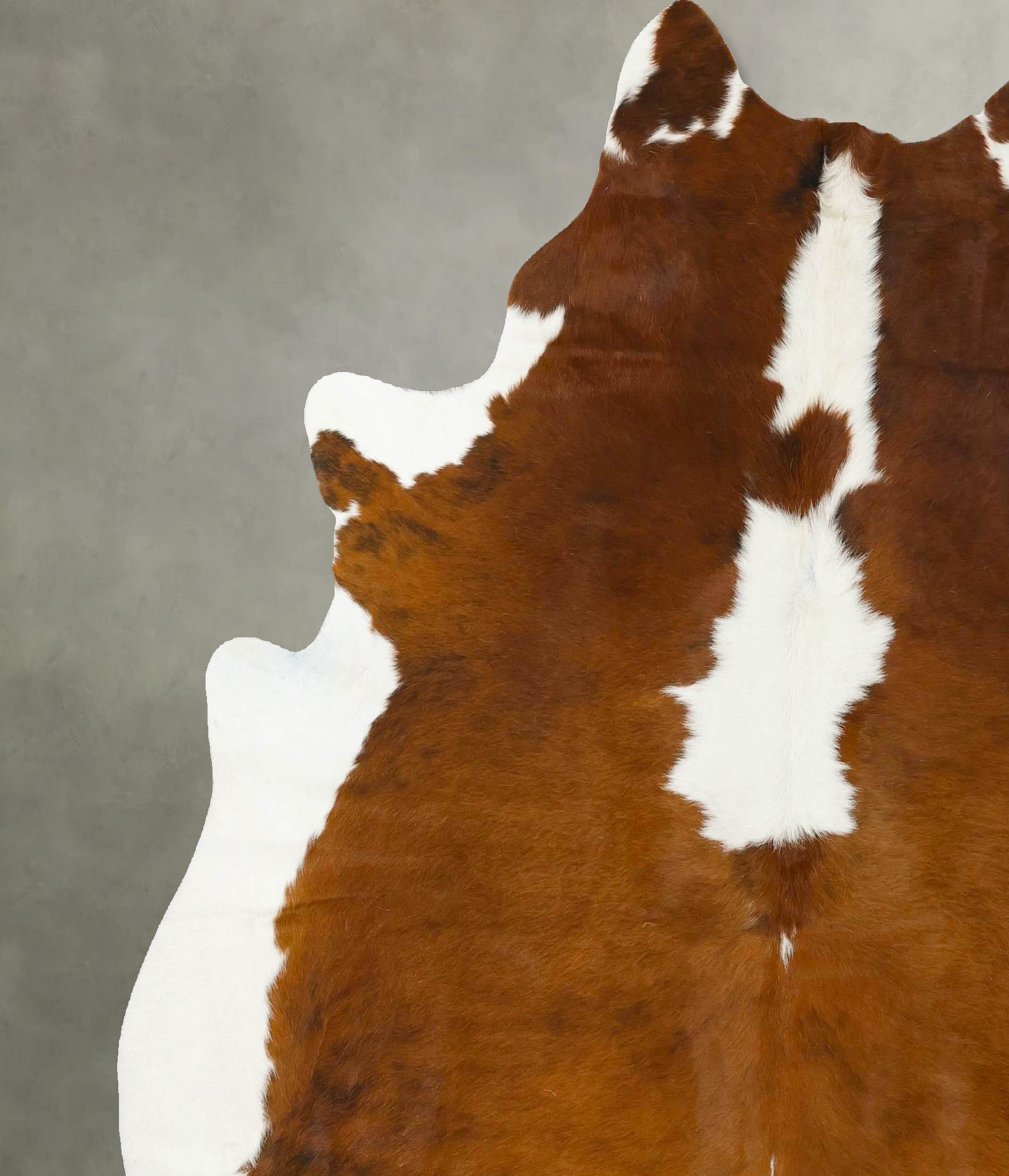 Tricolor Cowhide Rug #B24276