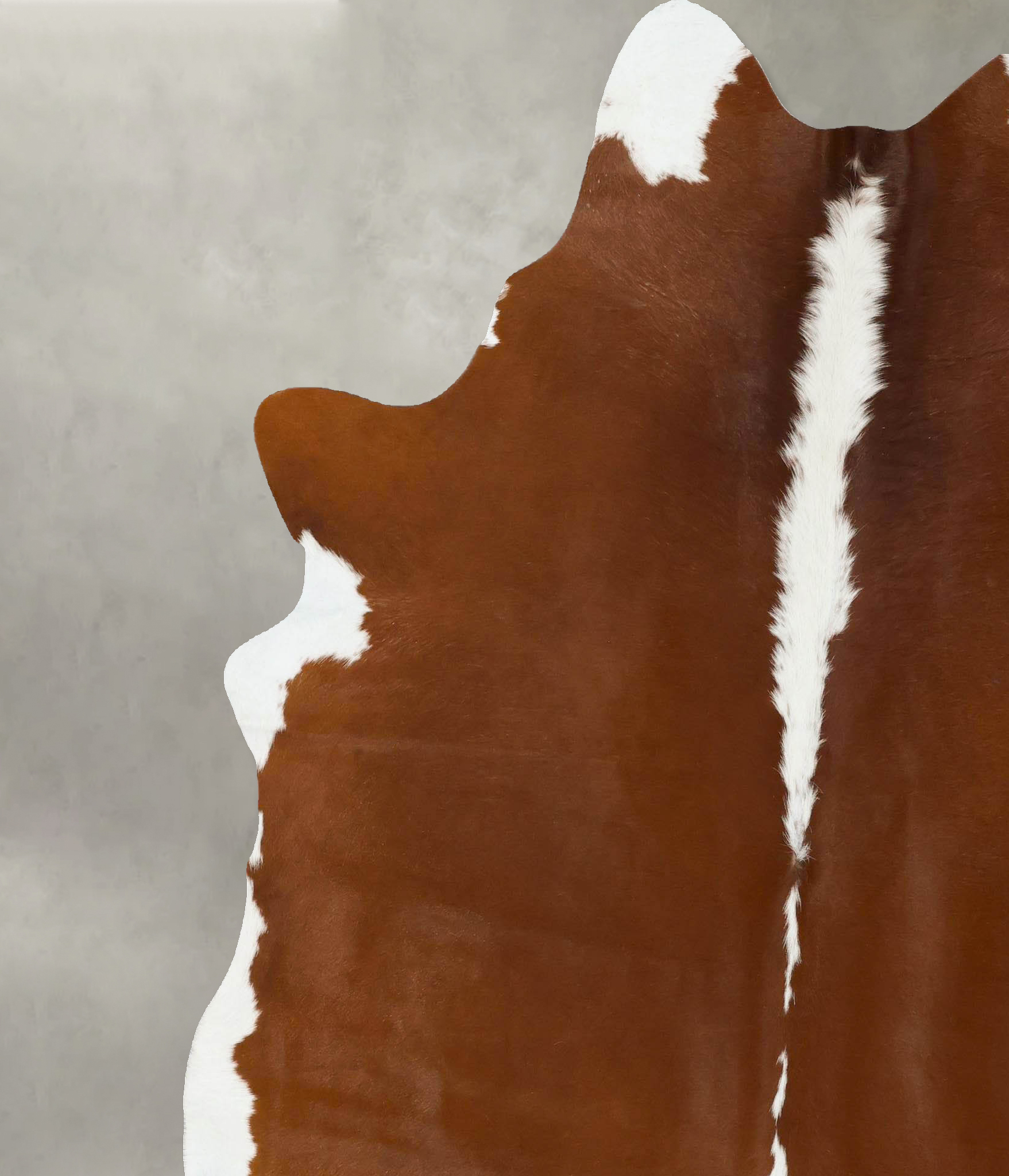 Hereford Cowhide Rug #B24278