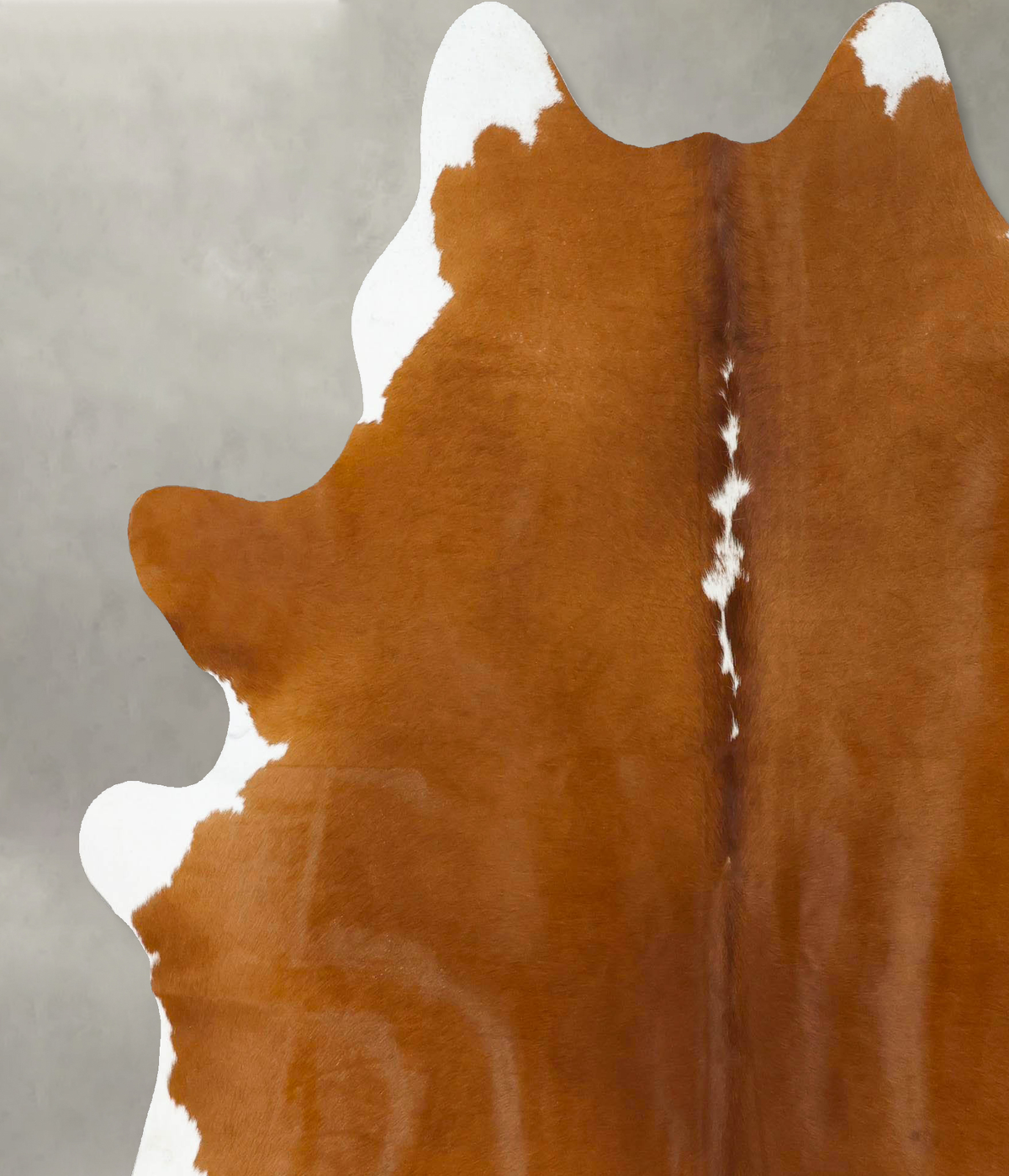 Brown and White Regular X-Large Brazilian Cowhide Rug 7'5"H x 6'6"W #B24280 by Hudson Hides