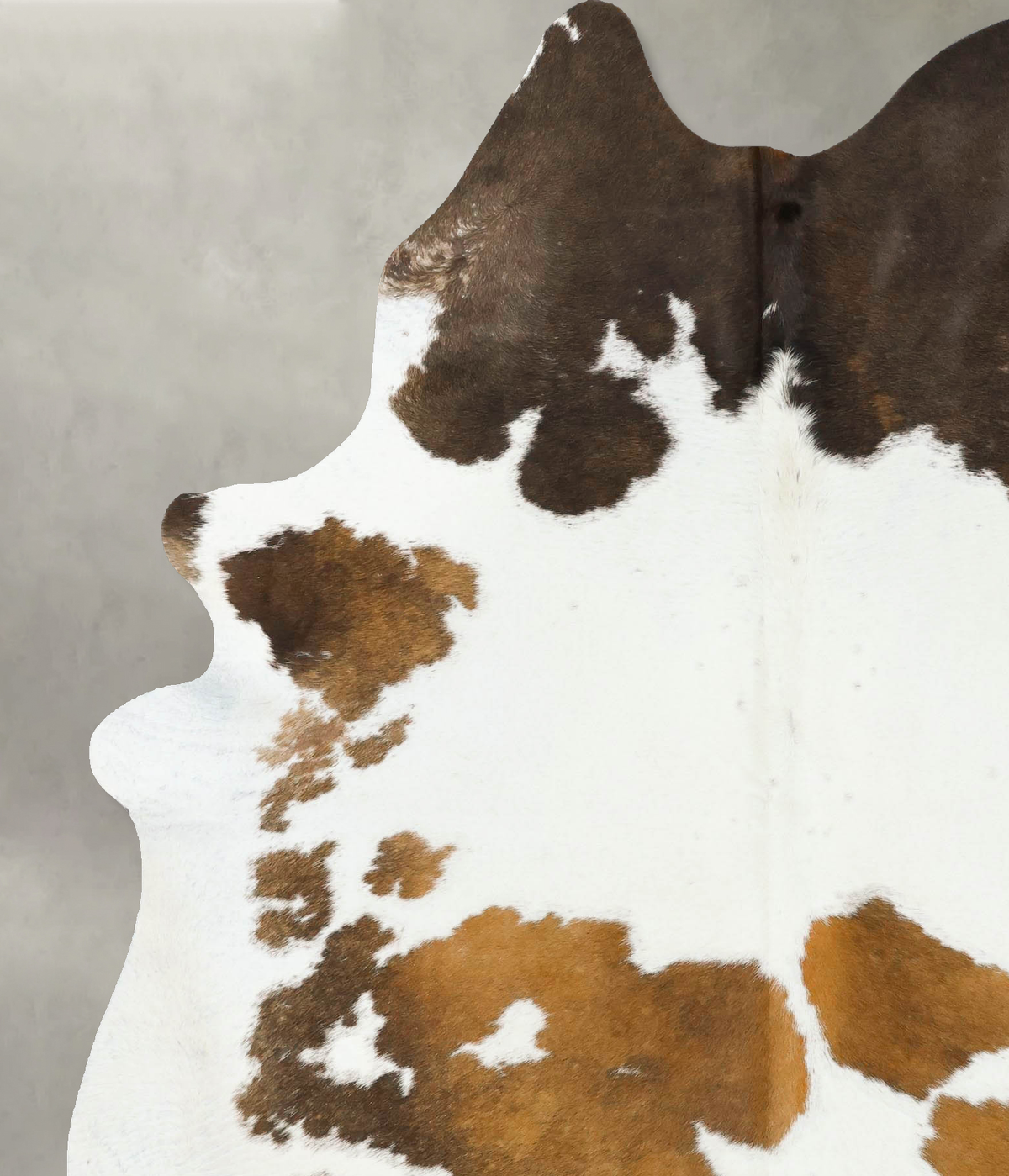 Chocolate and White X-Large Brazilian Cowhide Rug 8'0"H x 6'1"W #B24283 by Hudson Hides