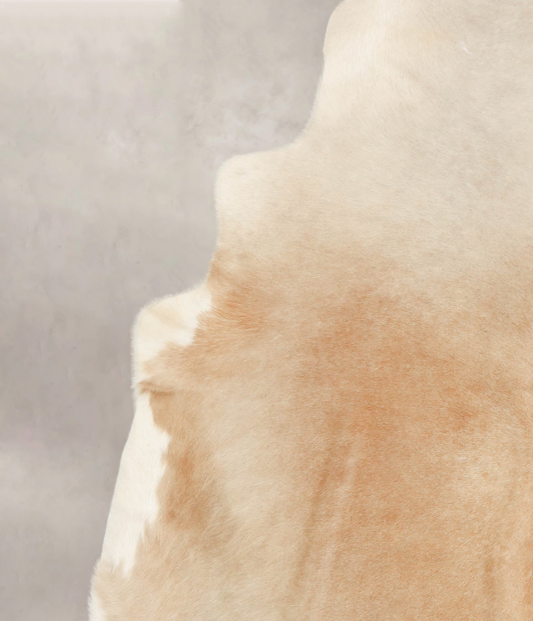 Beige Cowhide Rug #B2429