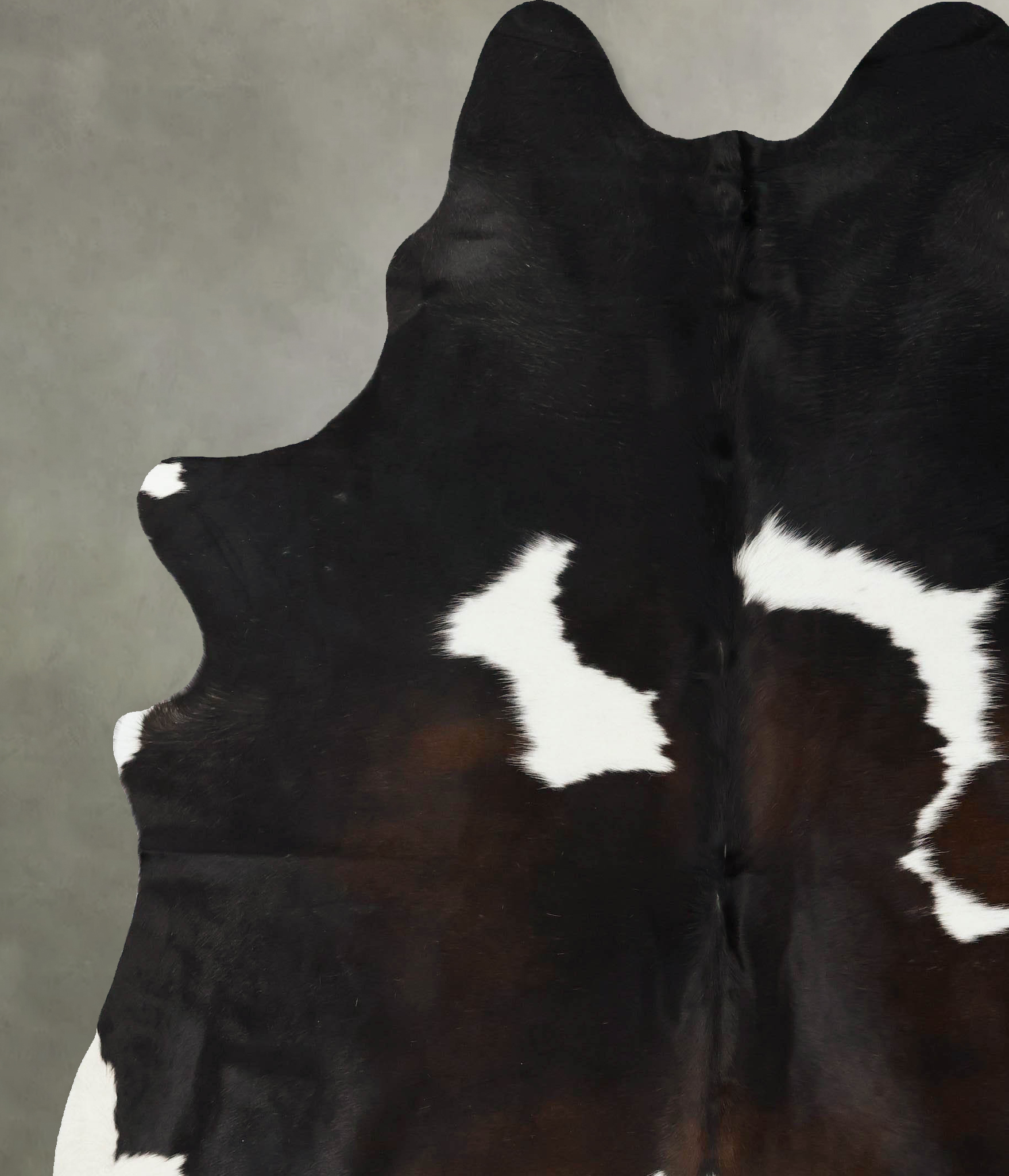 Chocolate and White Cowhide Rug #B24294