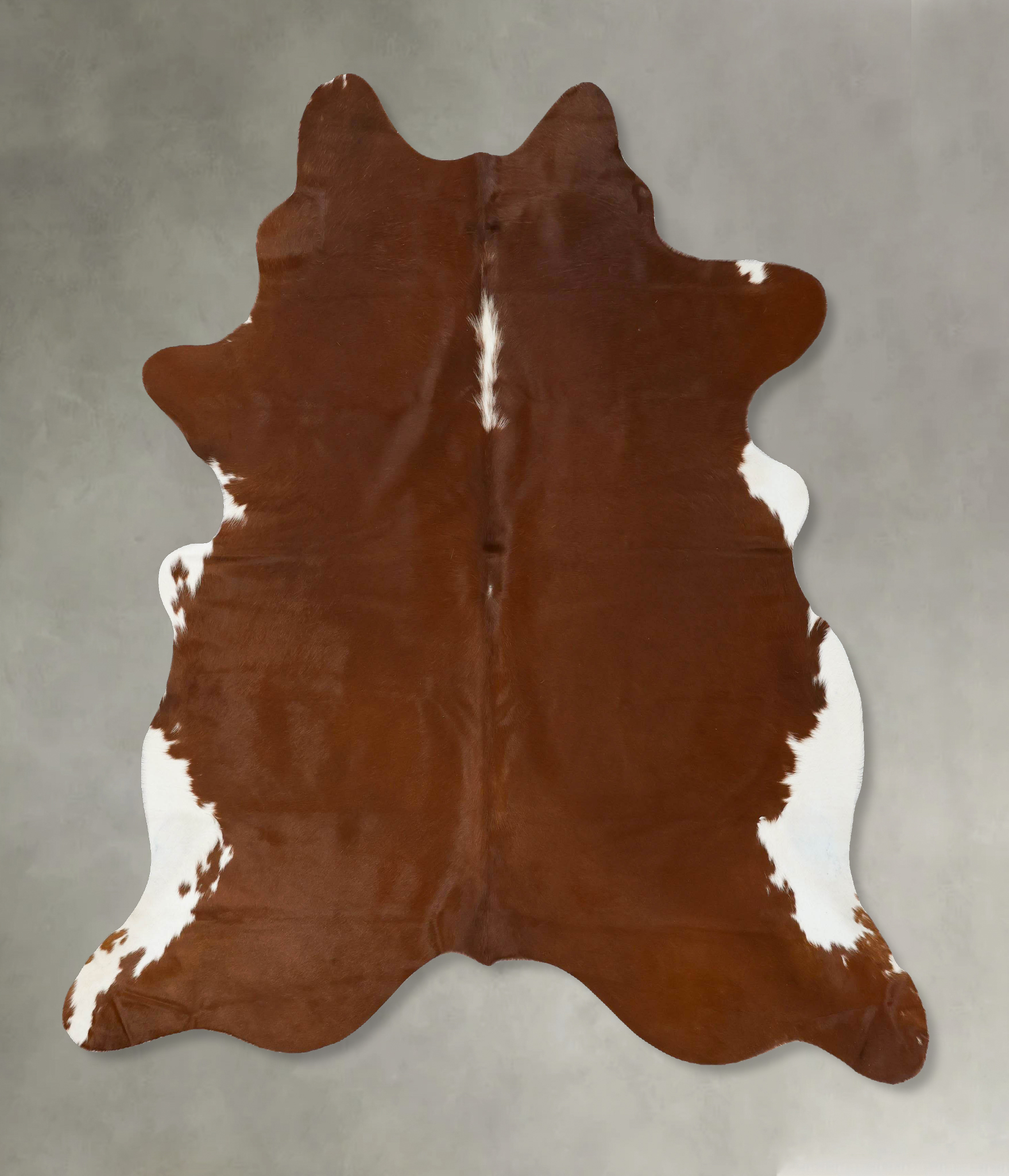 Brown and White Regular Cowhide Rug #B24301