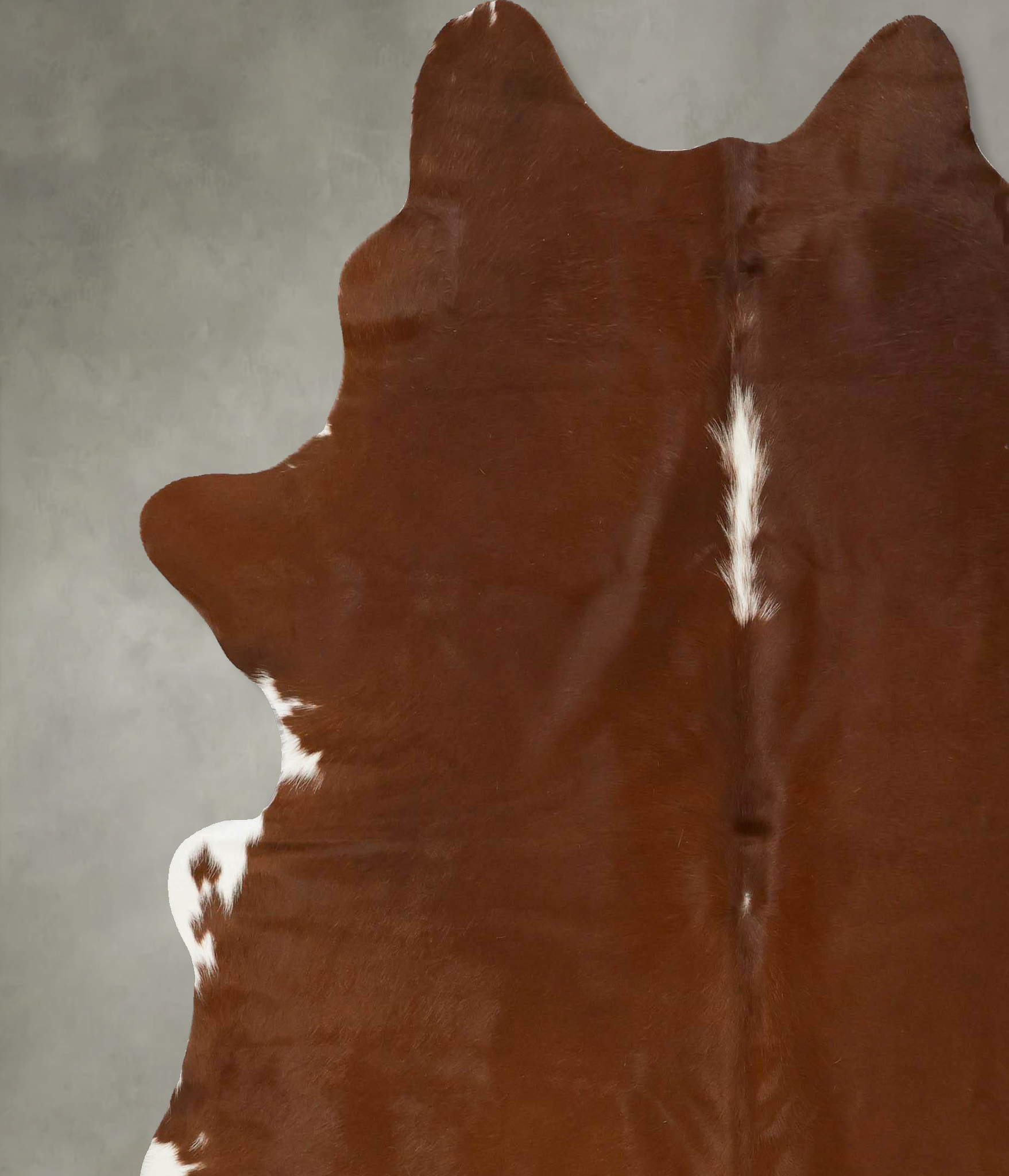 Brown and White Regular Cowhide Rug #B24301