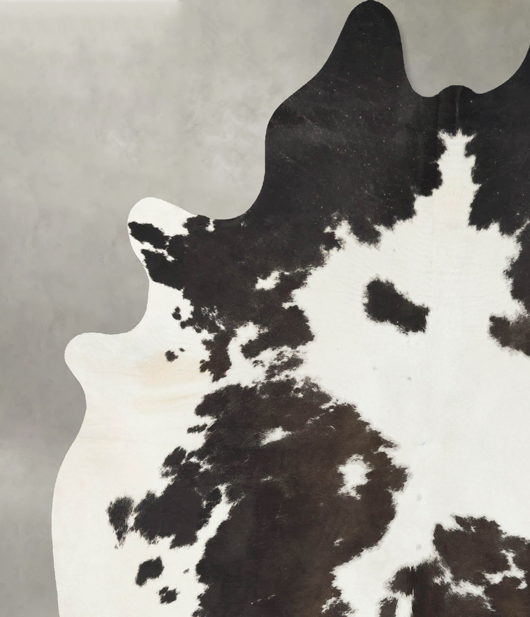 Chocolate and White Cowhide Rug #B24318