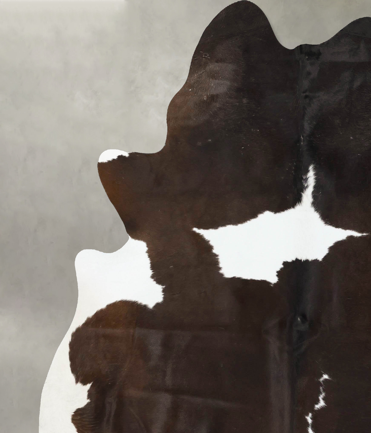 Chocolate and White XX-Large Brazilian Cowhide Rug 8'4"H x 6'10"W #B24367 by Hudson Hides