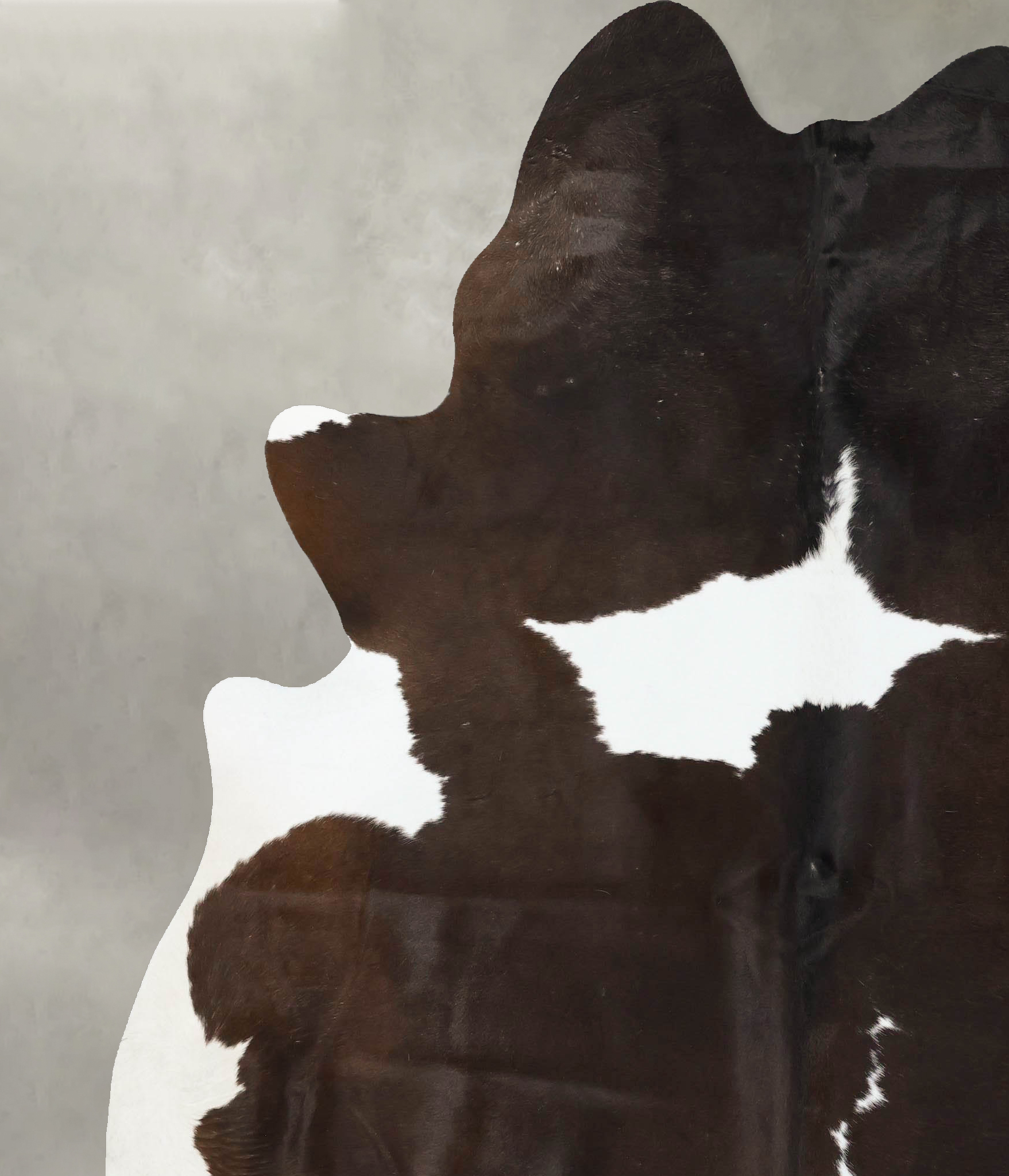Chocolate and White Cowhide Rug #B24367