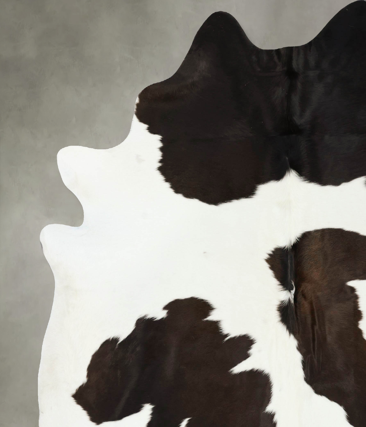 Chocolate and White Cowhide Rug #B24368