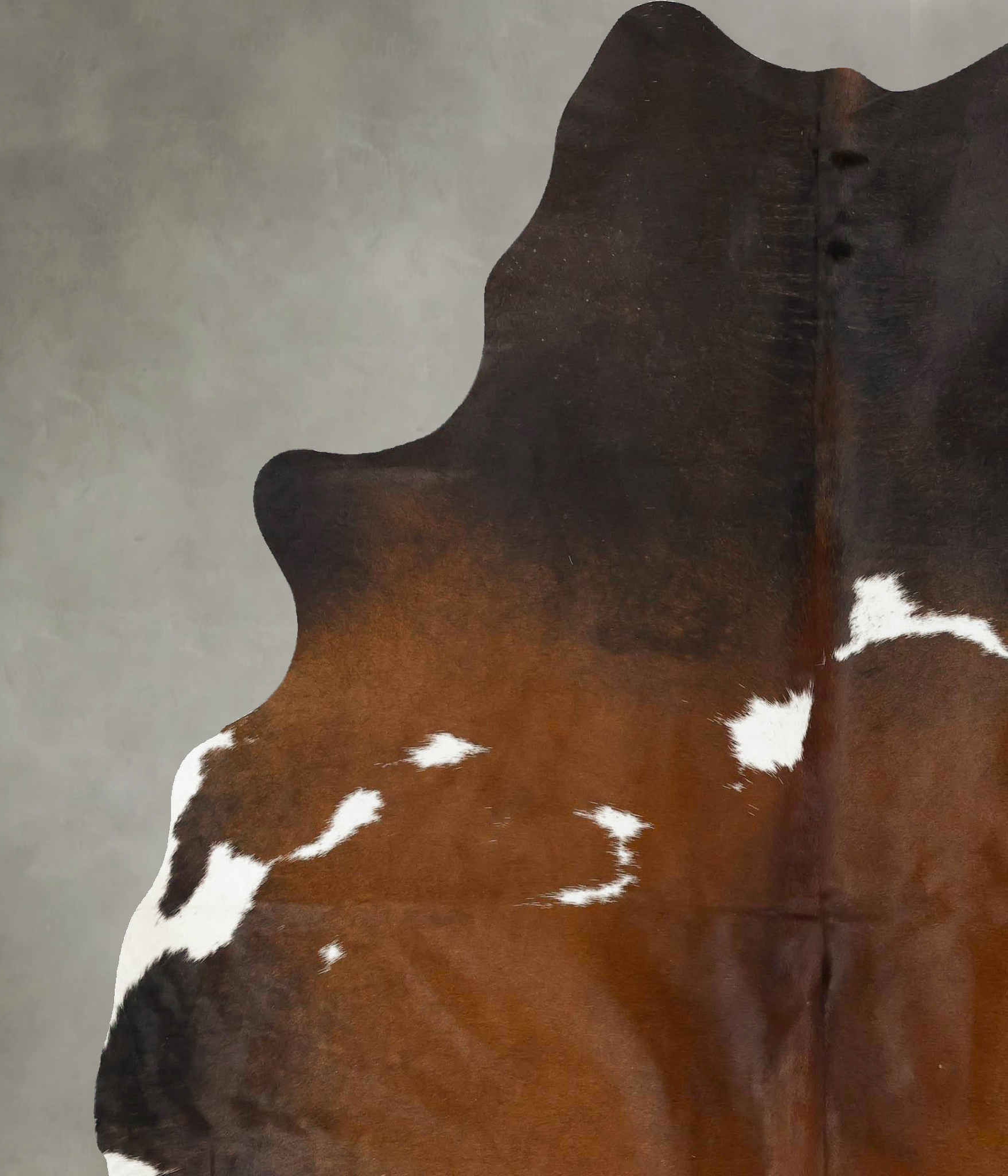 Chocolate and White Cowhide Rug #B24372