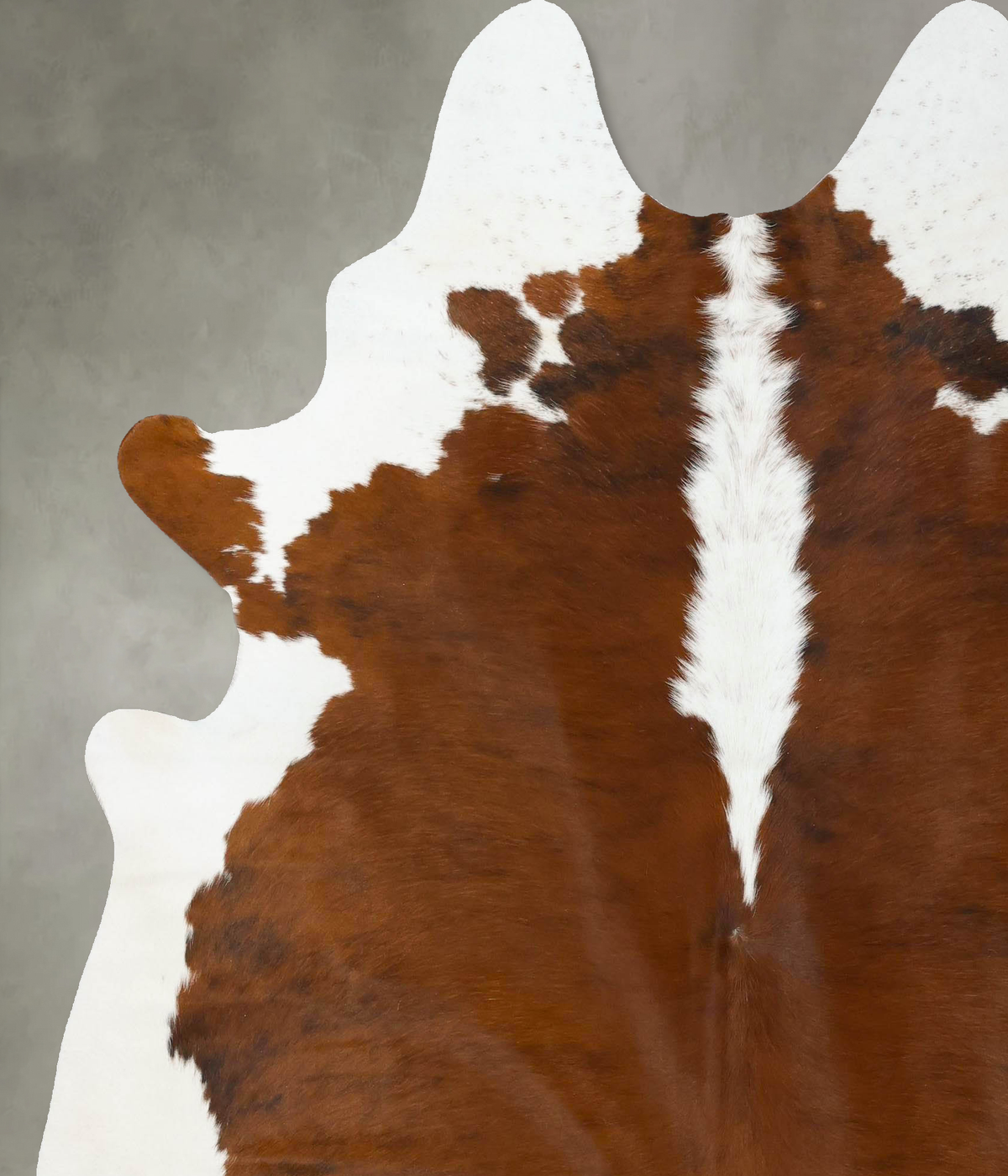 Hereford XX-Large Brazilian Cowhide Rug 7'8"H x 6'8"W #B24377 by Hudson Hides