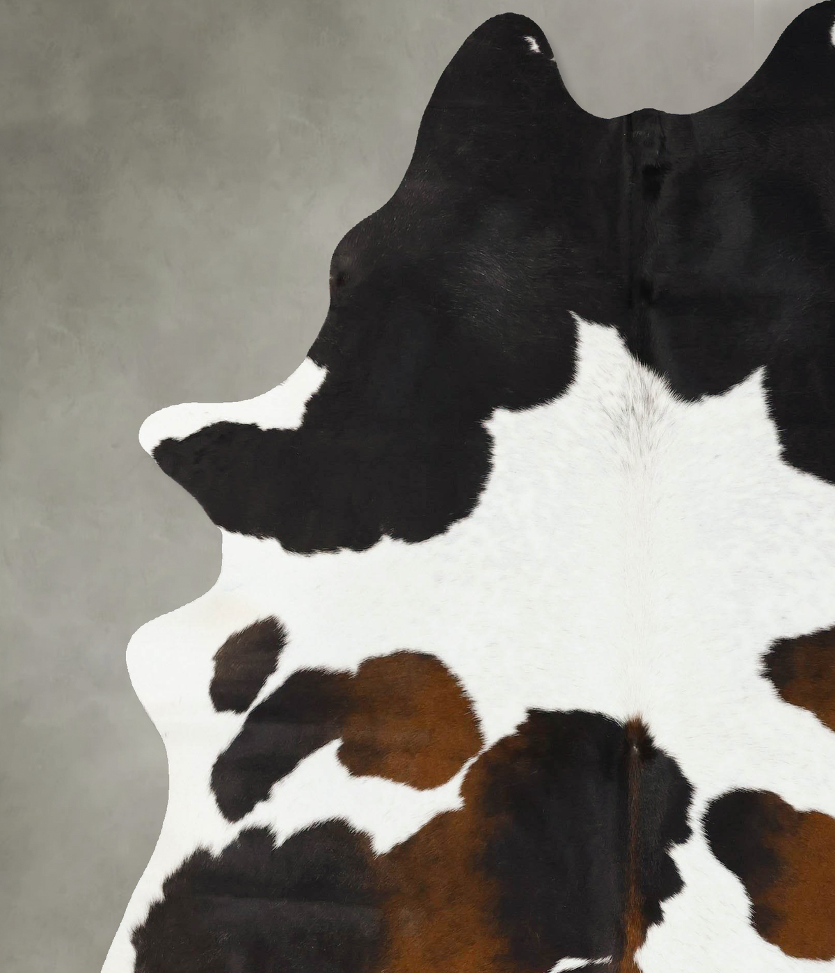 Chocolate and White XX-Large Brazilian Cowhide Rug 8'0"H x 6'4"W #B24401 by Hudson Hides