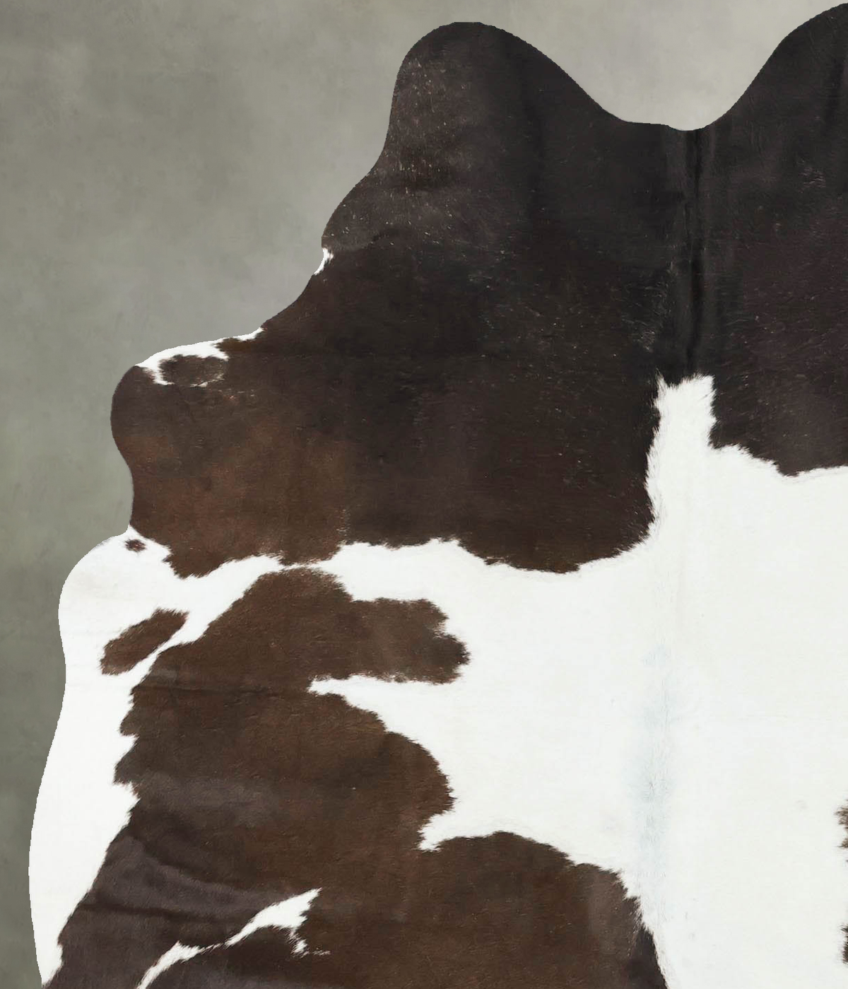Chocolate and White XX-Large Brazilian Cowhide Rug 6'3"H x 4'10"W #B24431 by Hudson Hides