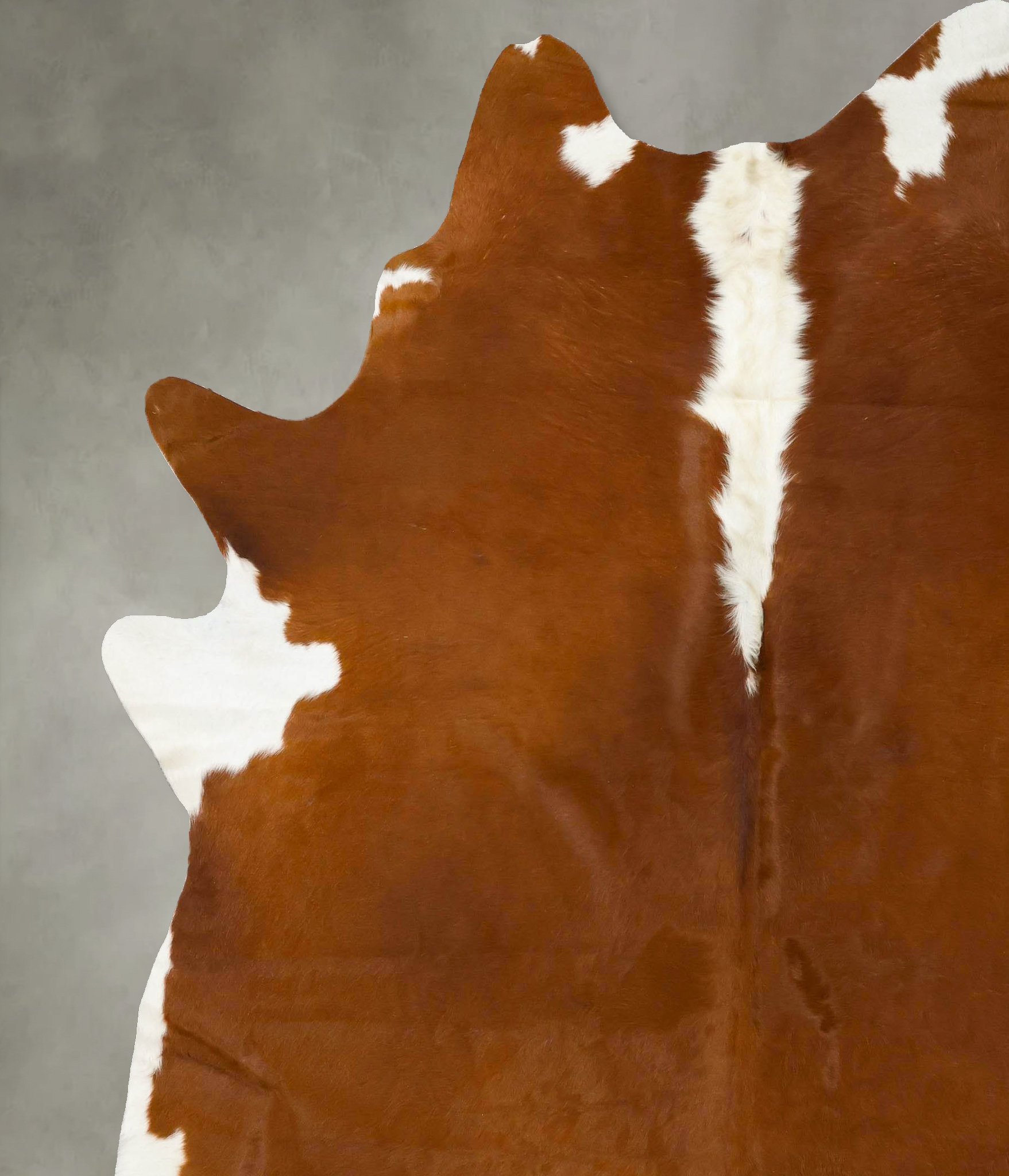 Hereford Cowhide Rug #B24441