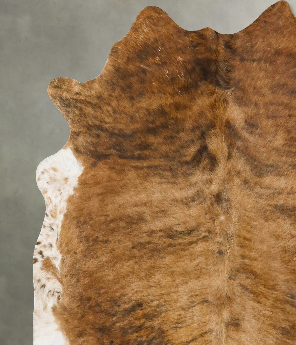 Medium Brindle X-Large Brazilian Cowhide Rug 7'2"H x 6'9"W #B24446 by Hudson Hides