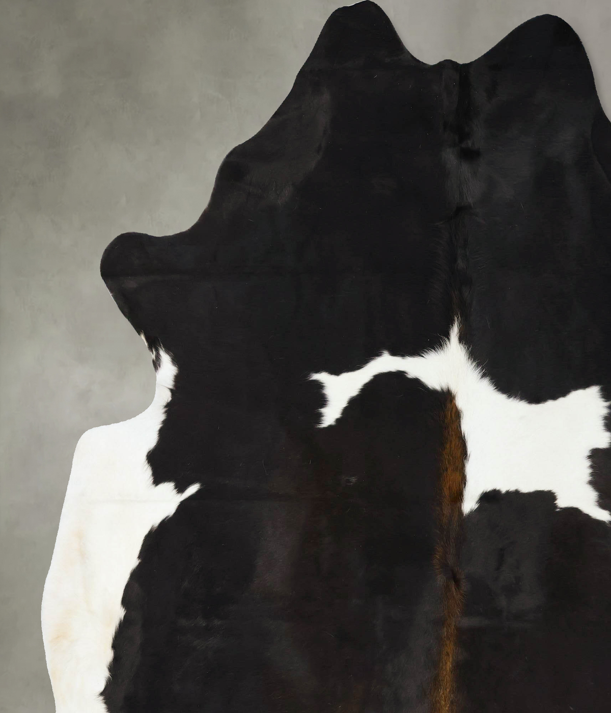 Chocolate and White XX-Large Brazilian Cowhide Rug 8'4"H x 6'9"W #B24454 by Hudson Hides