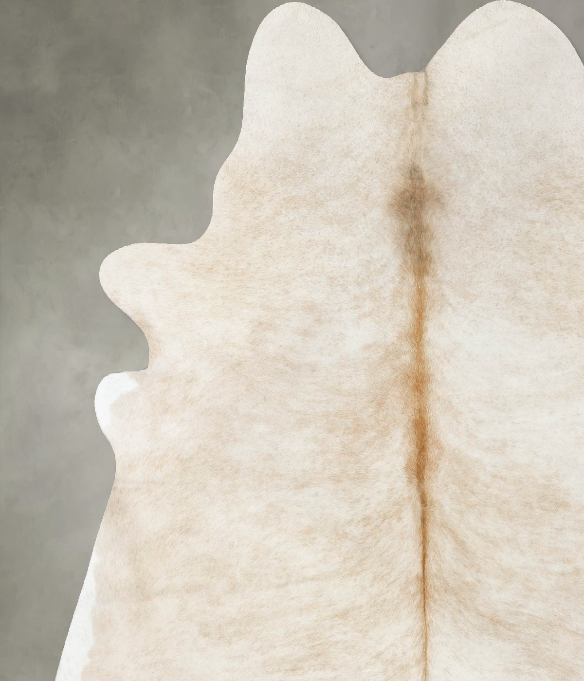 Champagne X-Large Brazilian Cowhide Rug 7'3"H x 6'5"W #B24469 by Hudson Hides