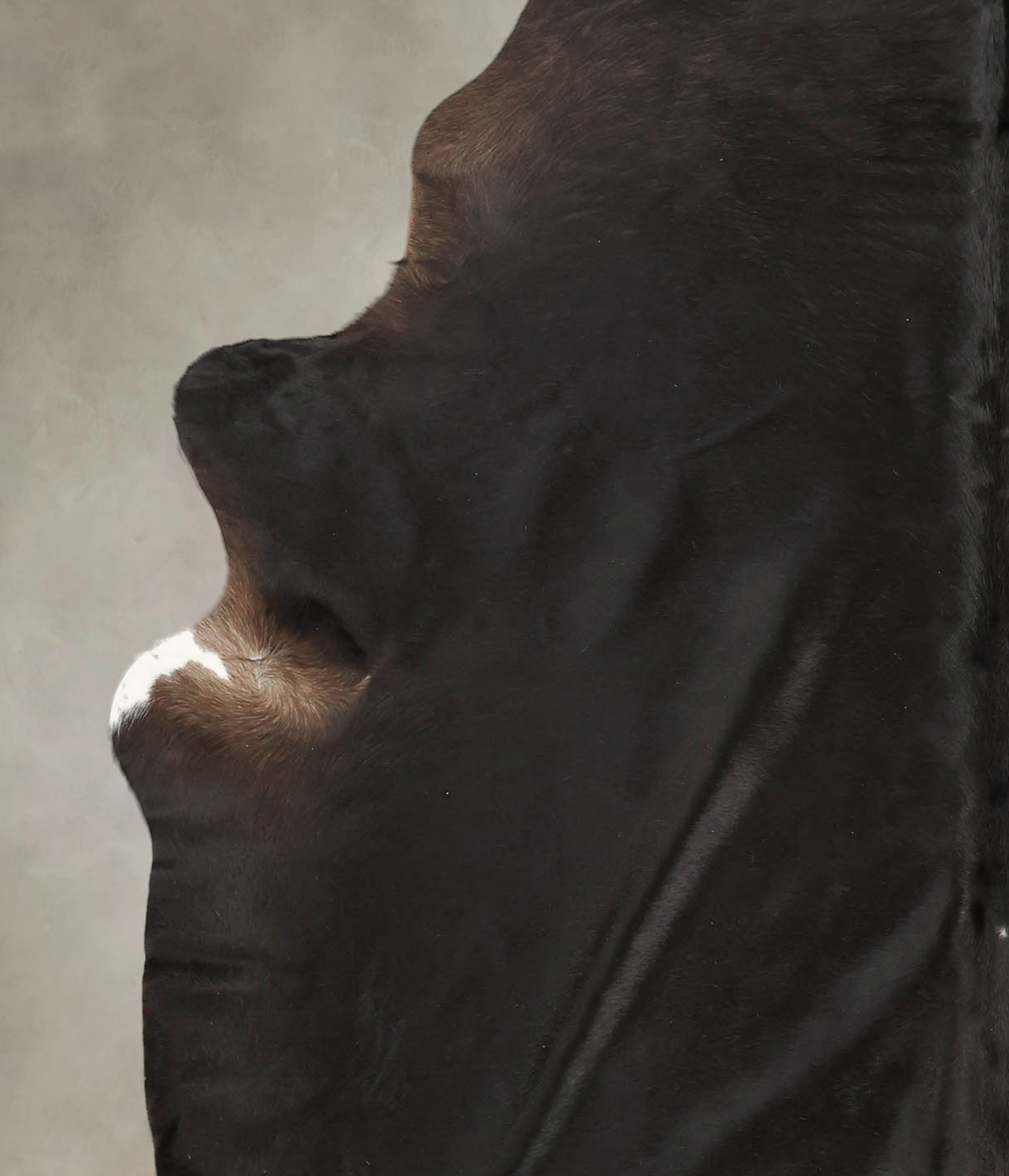 Solid Black Cowhide Rug #B2447
