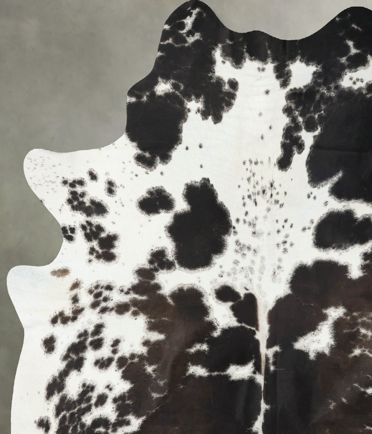 Chocolate and White X-Large Brazilian Cowhide Rug 7'8"H x 6'6"W #B24485 by Hudson Hides
