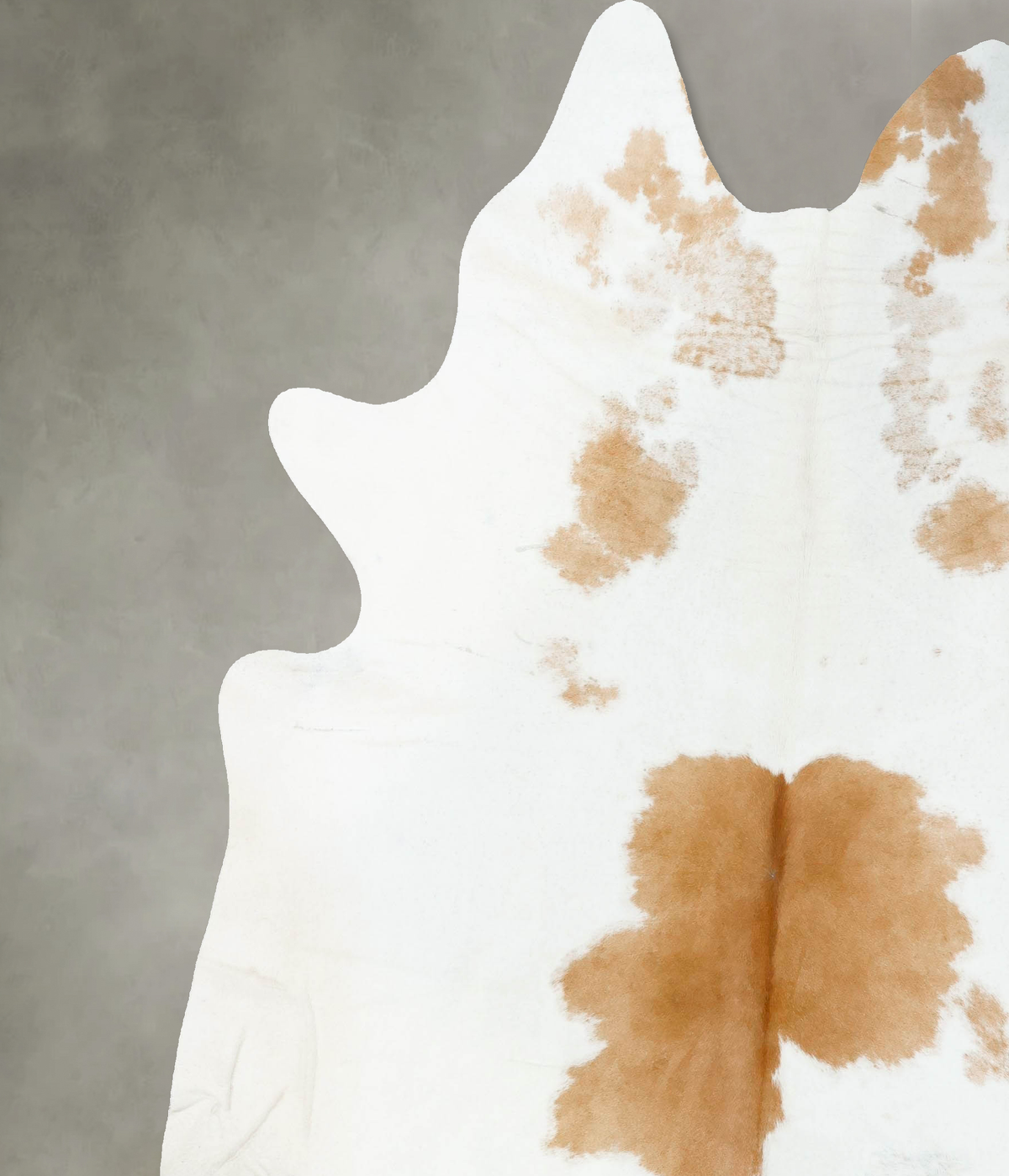 Beige and White XX-Large Brazilian Cowhide Rug 8'4"H x 7'1"W #B24488 by Hudson Hides