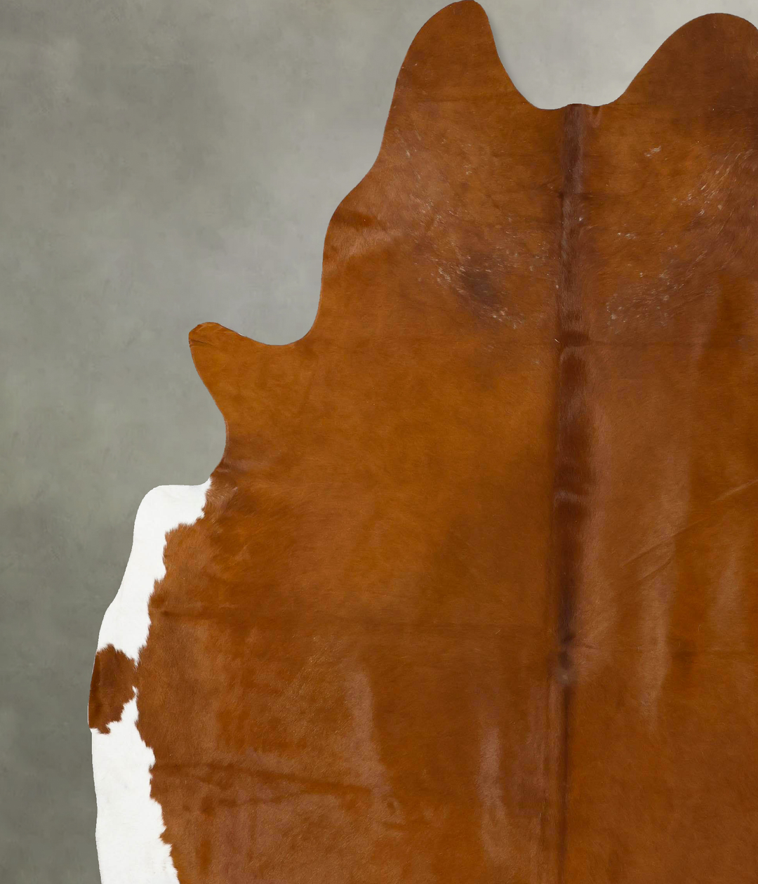 Brown and White Regular XX-Large Brazilian Cowhide Rug 9'0"H x 7'8"W #