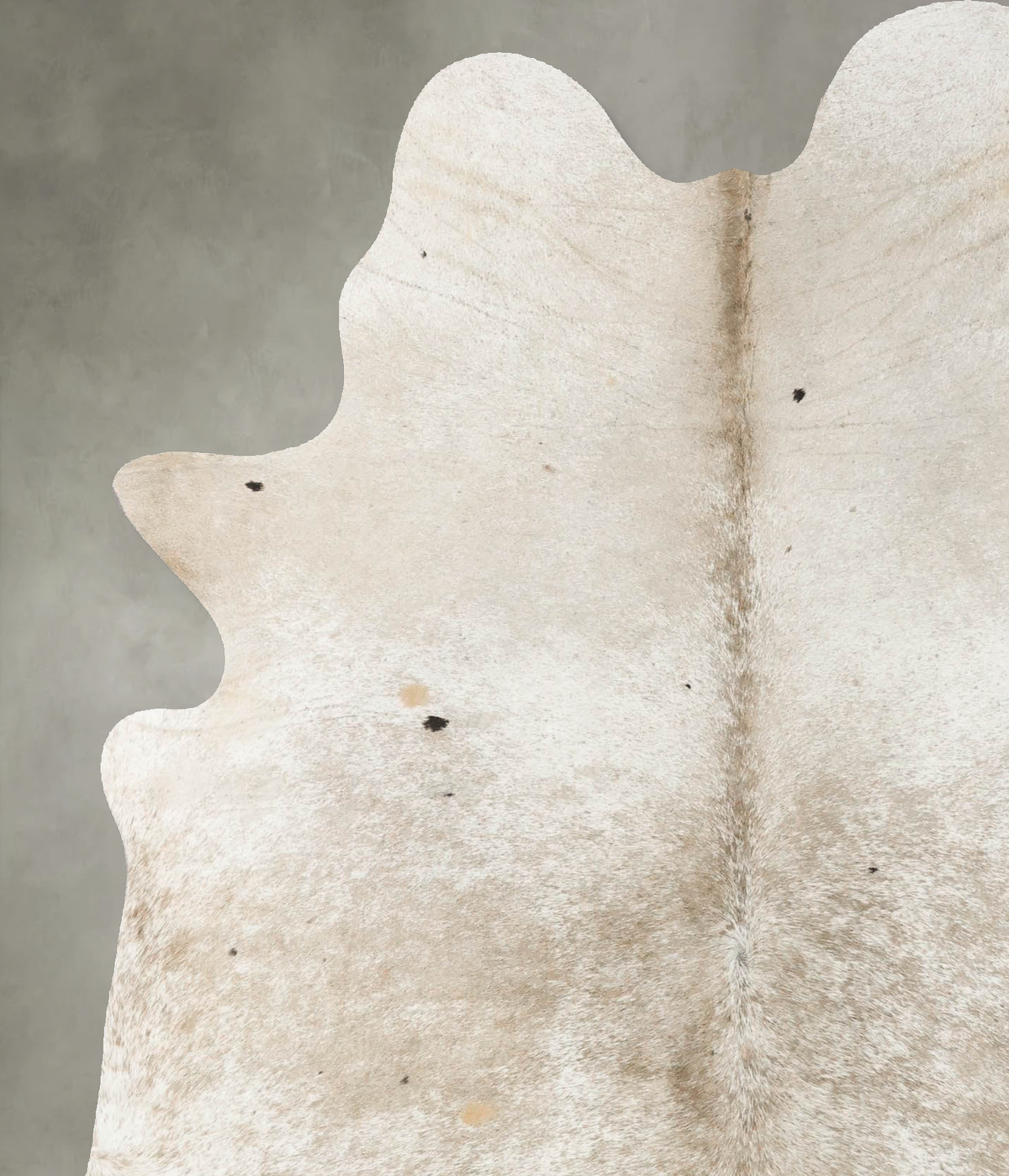 Taupe Large Brazilian Cowhide Rug 6'11"H x 5'7"W #B24500 by Hudson Hides