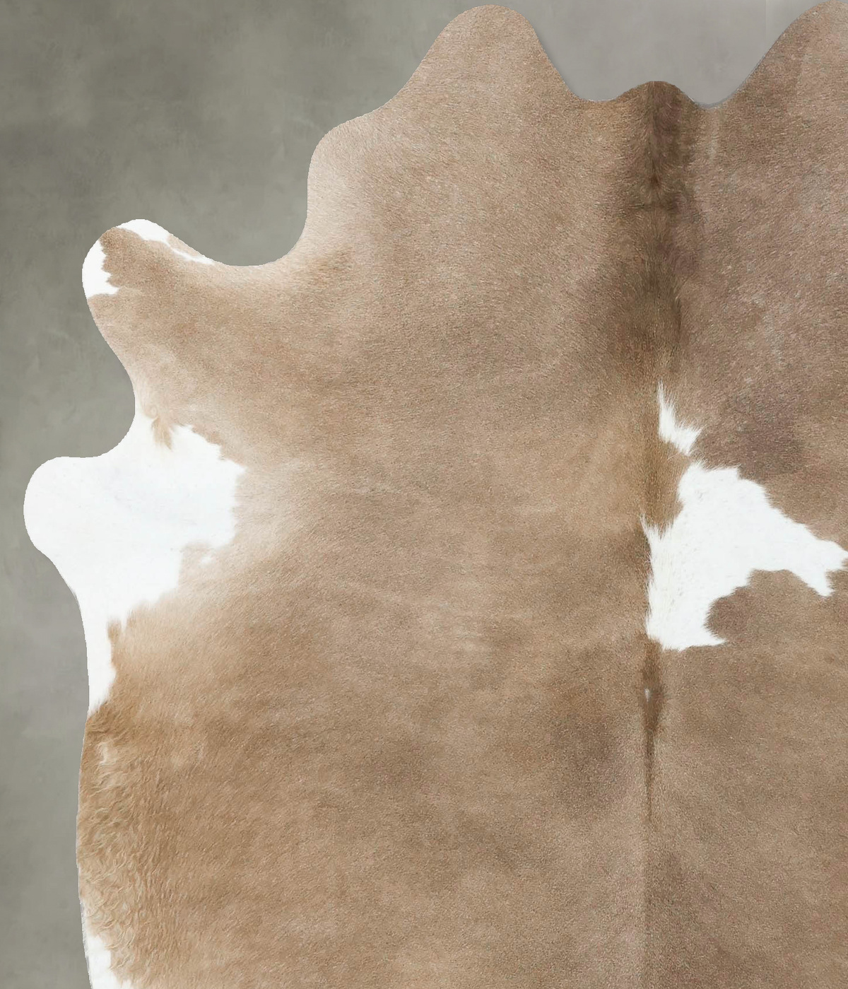 Taupe Large Brazilian Cowhide Rug 6'6"H x 5'9"W #B24502 by Hudson Hides