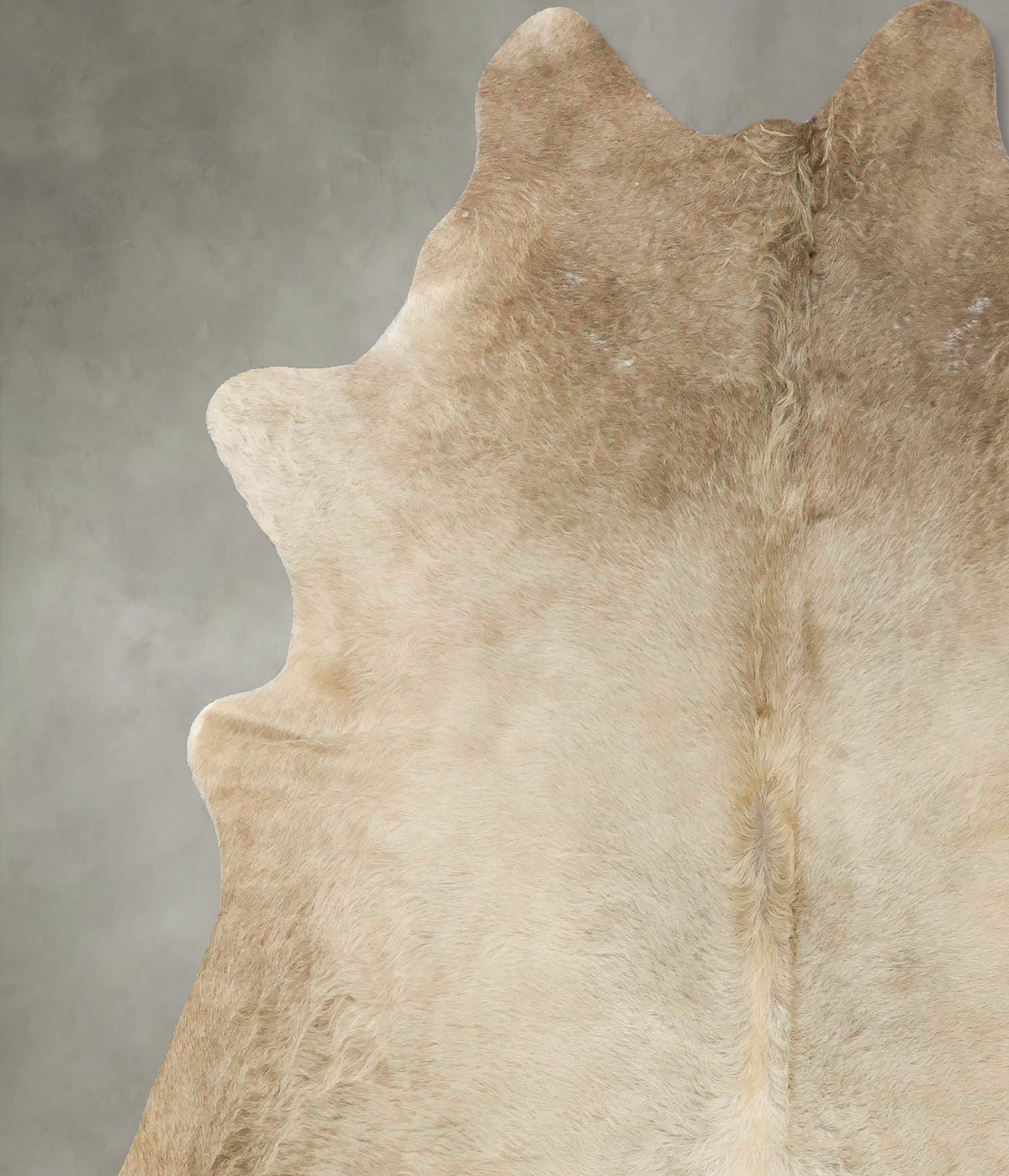 Taupe X-Large Brazilian Cowhide Rug 7'1"H x 5'11"W #B24506 by Hudson Hides