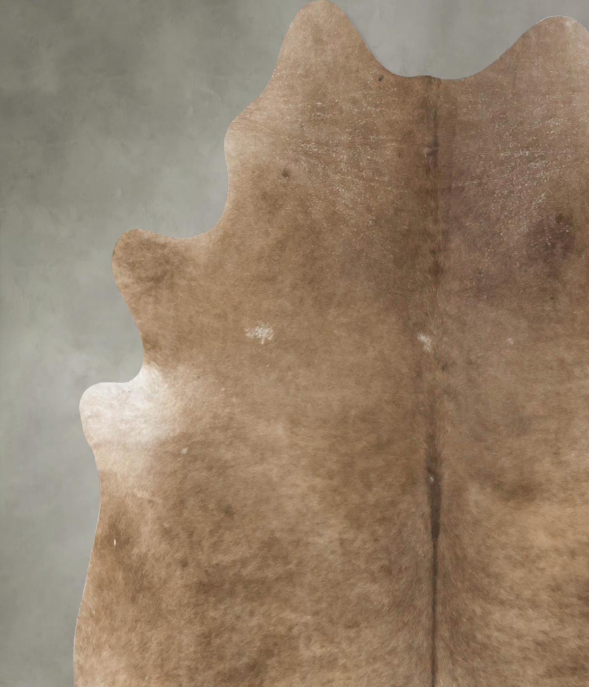 Taupe X-Large Brazilian Cowhide Rug 7'3"H x 6'6"W #B24507 by Hudson Hides