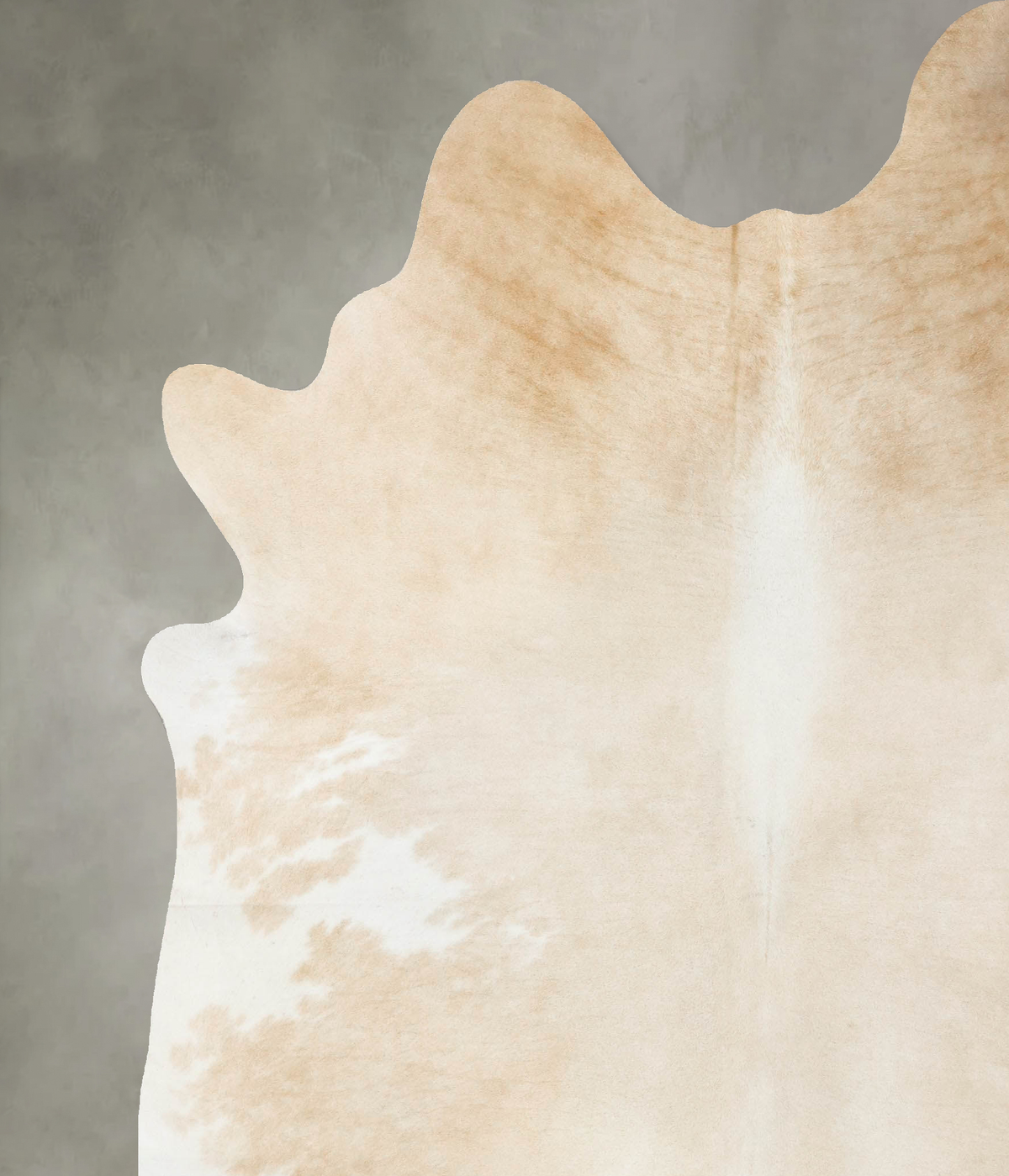 Palomino XX-Large Brazilian Cowhide Rug 8'2"H x 6'11"W #B24520 by Hudson Hides