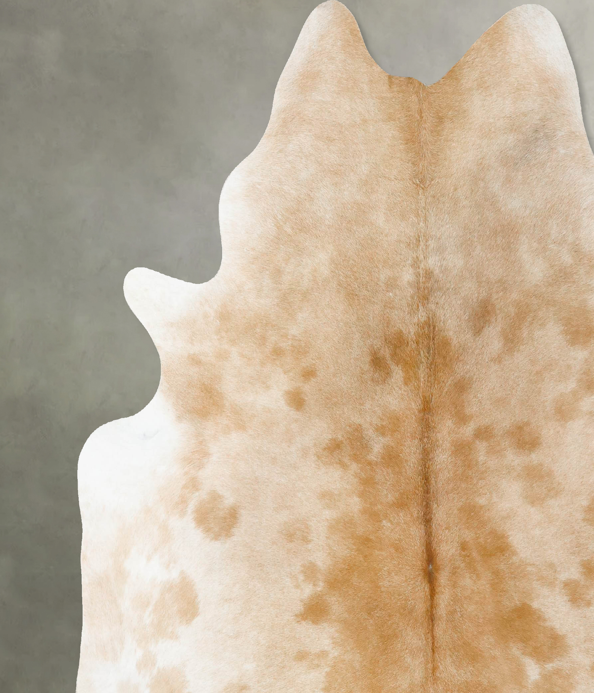 Light Caramel XX-Large Brazilian Cowhide Rug 7'8"H x 7'0"W #B24531 by Hudson Hides