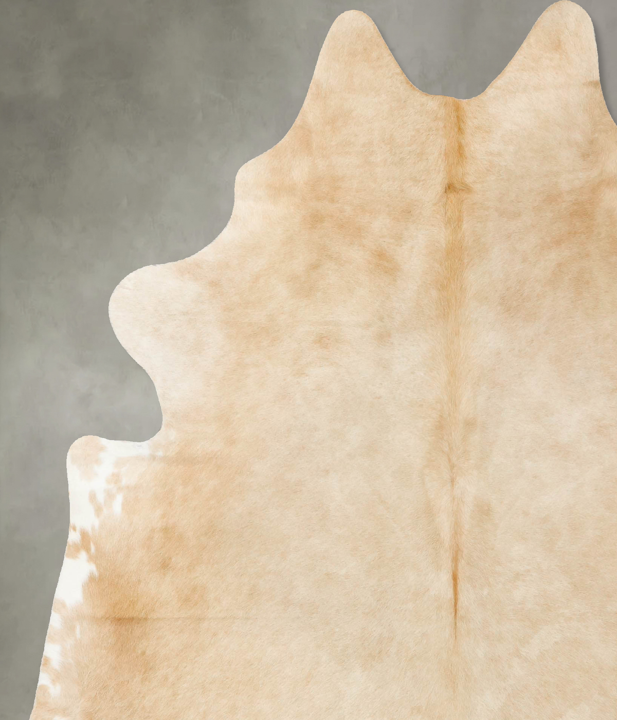 Palomino X-Large Brazilian Cowhide Rug 7'7"H x 6'5"W #B24541 by Hudson Hides