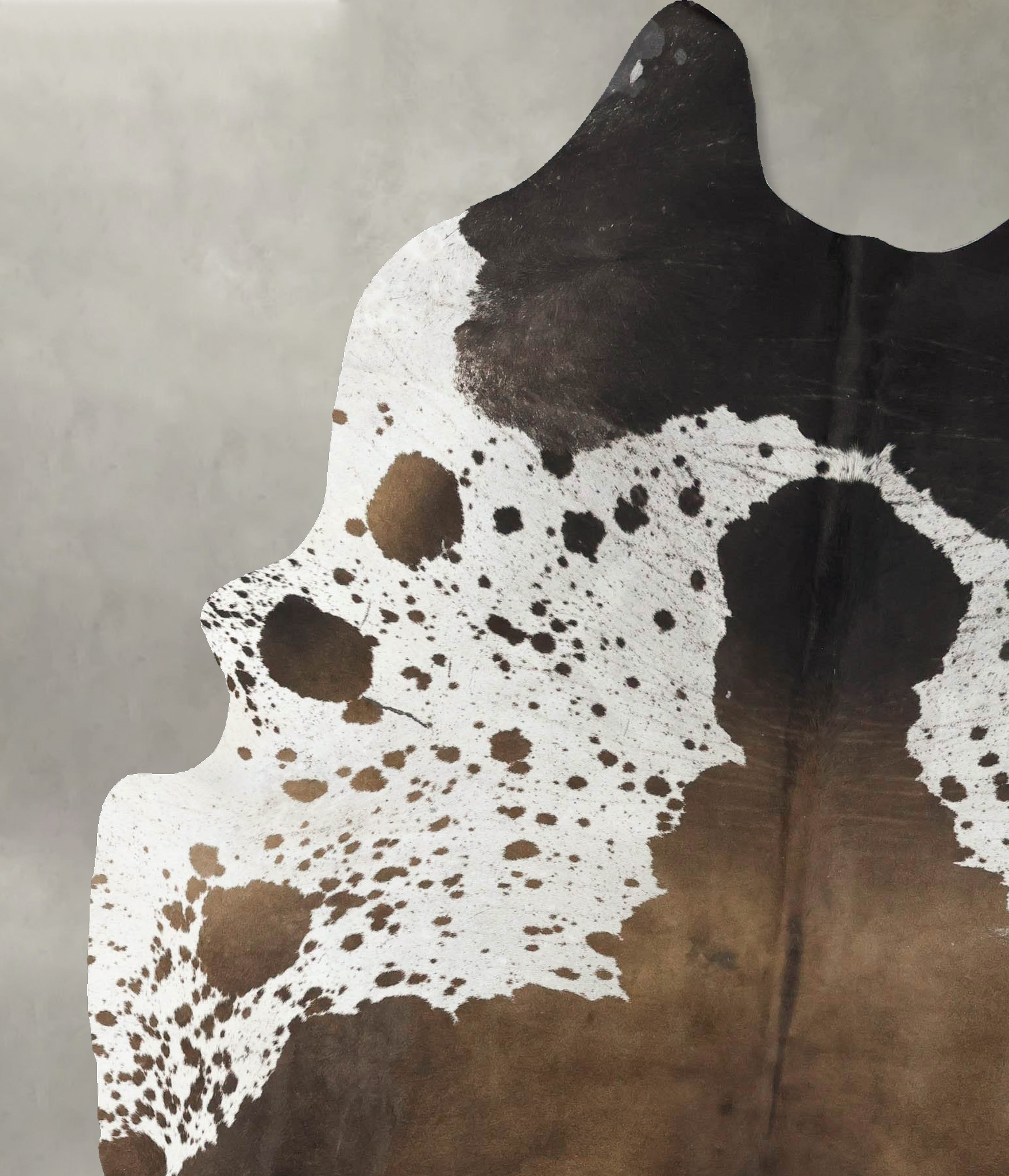 Chocolate and White Cowhide Rug #B24560