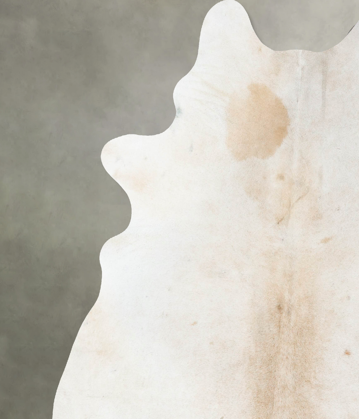 Ivory with Beige Cowhide Rug #B24567