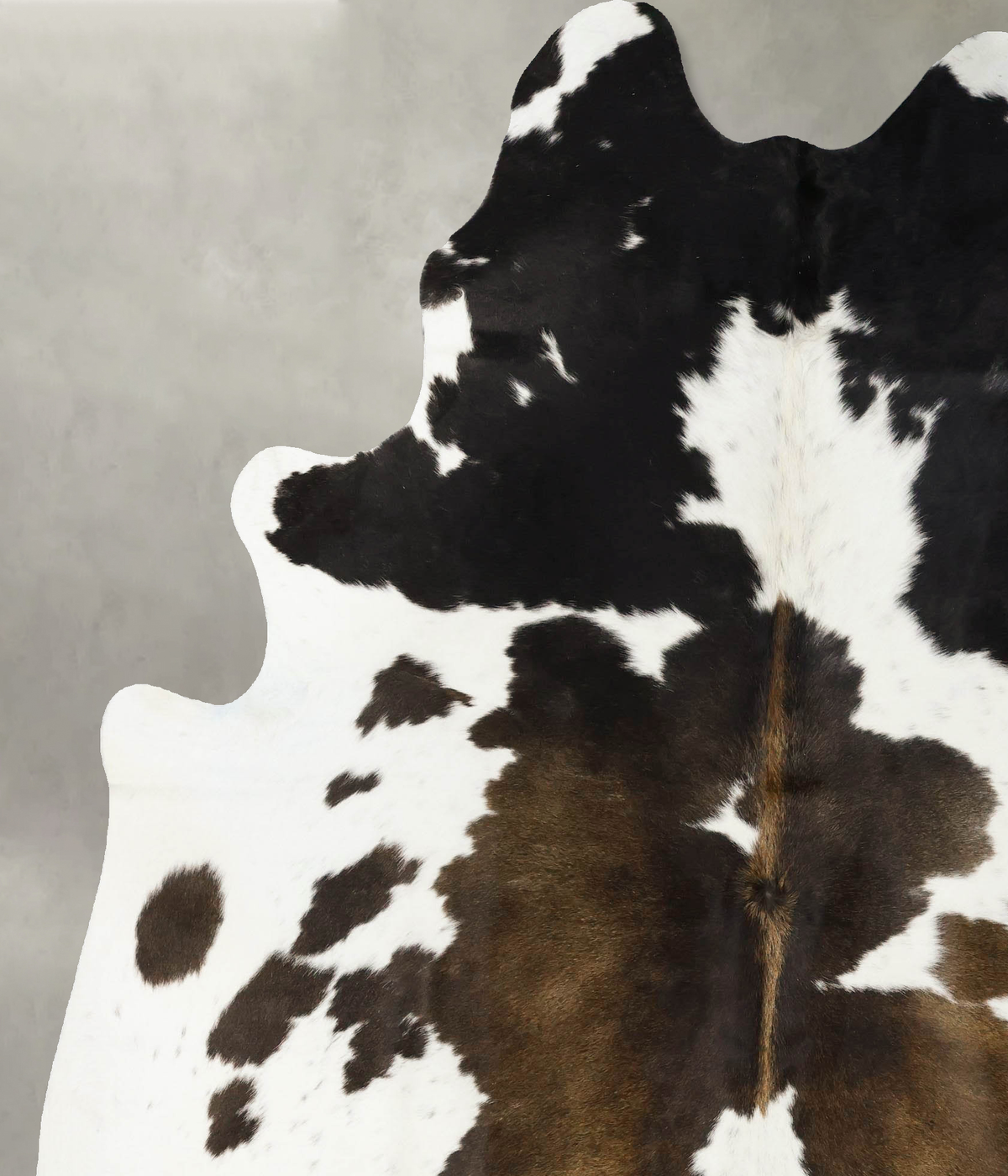 Chocolate and White XX-Large Brazilian Cowhide Rug 8'5"H x 6'7"W #B24570 by Hudson Hides